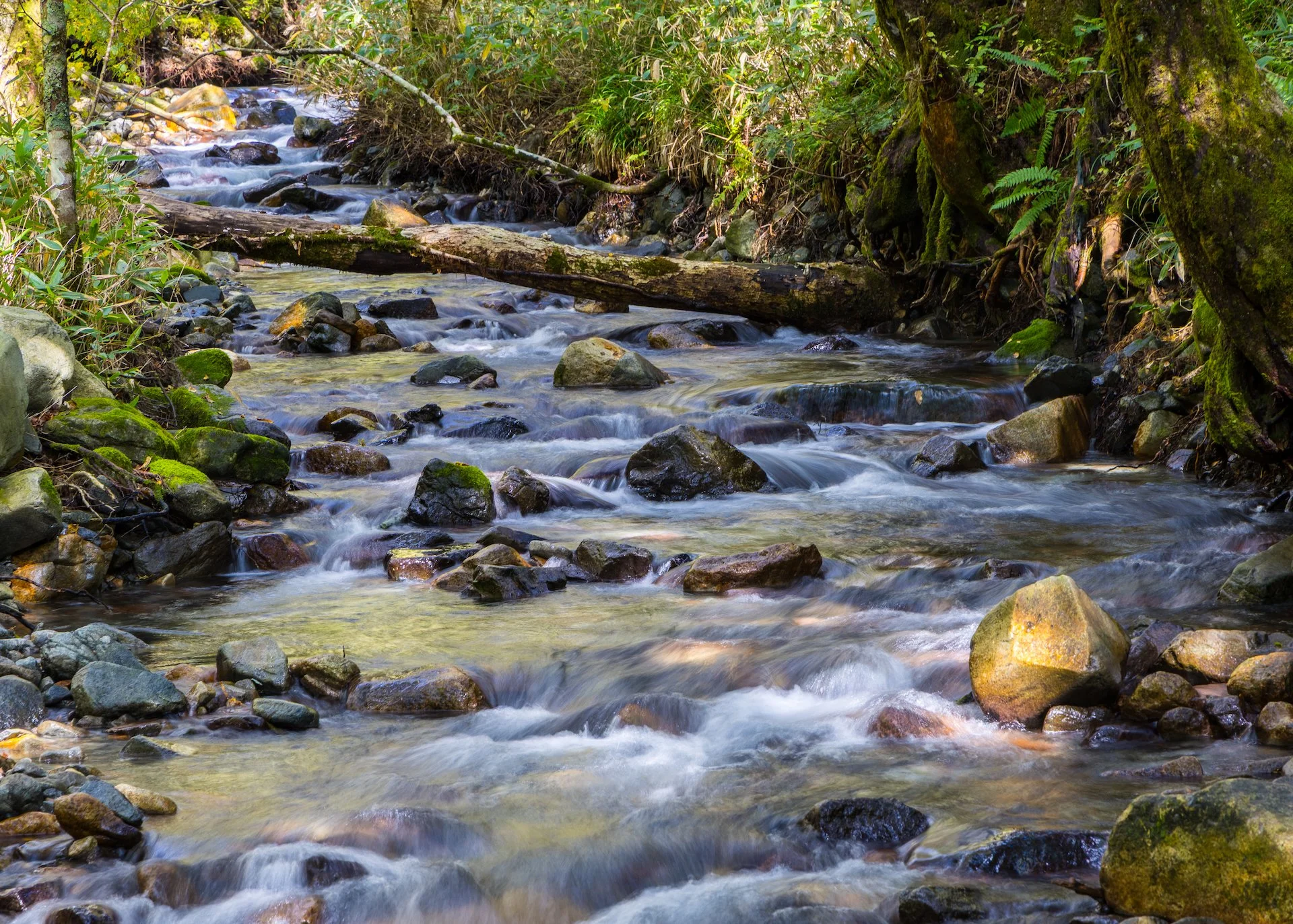 2025 10 Kamikochi - 185.jpeg