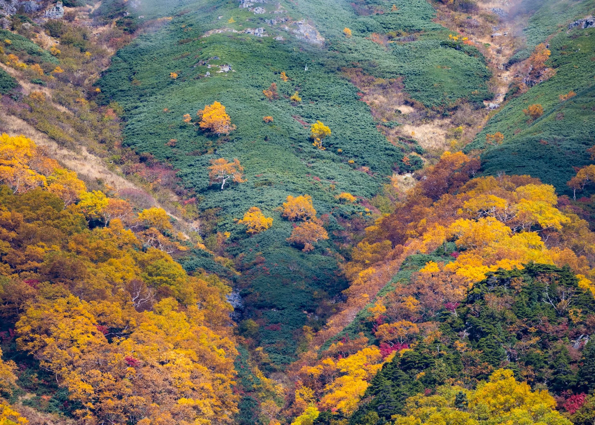  Since it was  such a clear day I could use my big lens to zoom in on the detailed colour up in the mountain tops. 