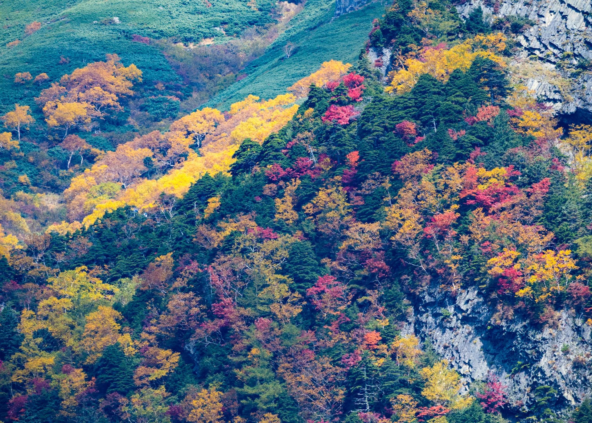  This section has all the colours. 