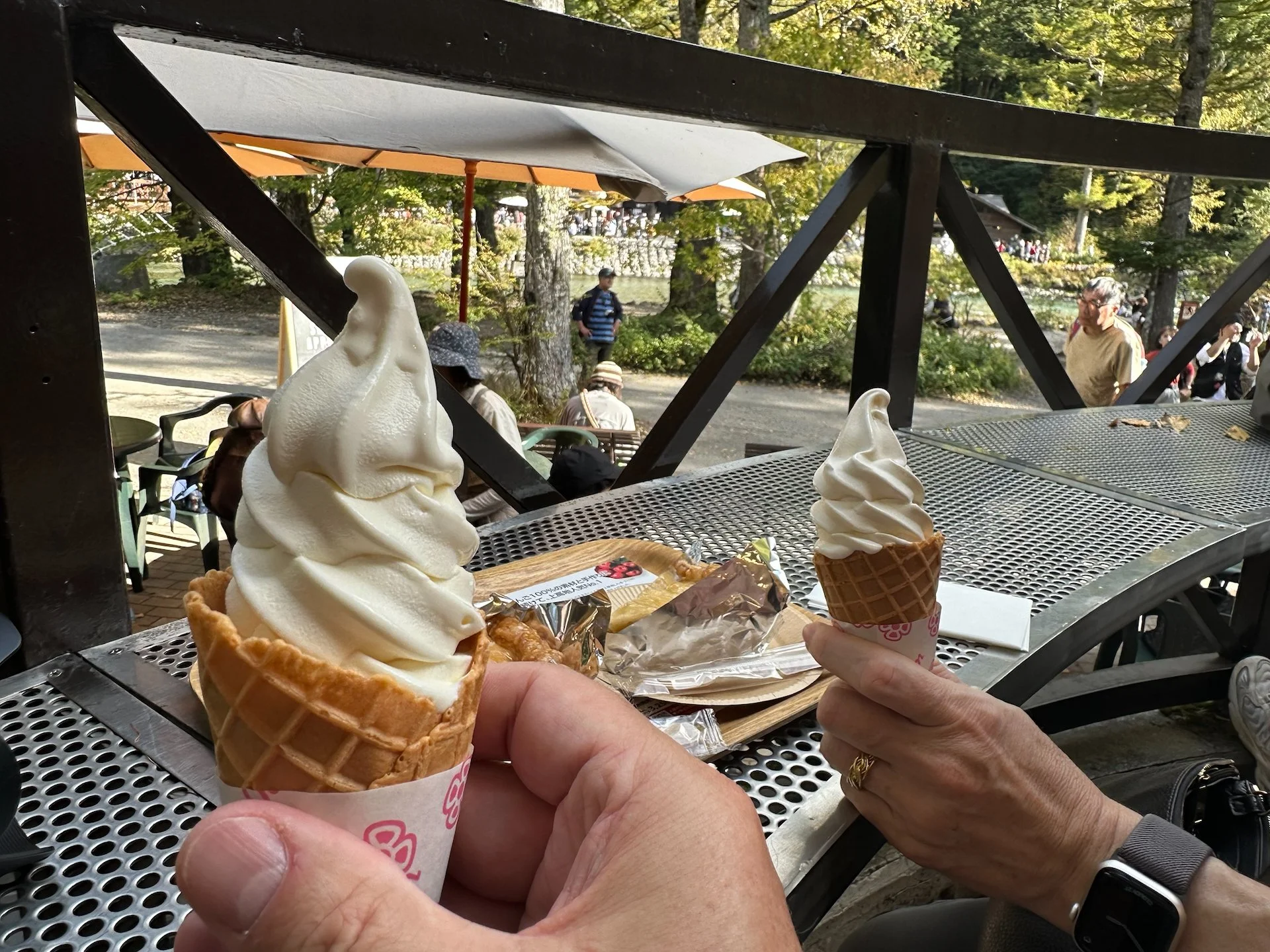  The pie was… OK. The ice cream might have been better. Justine’s was apple flavoured! 