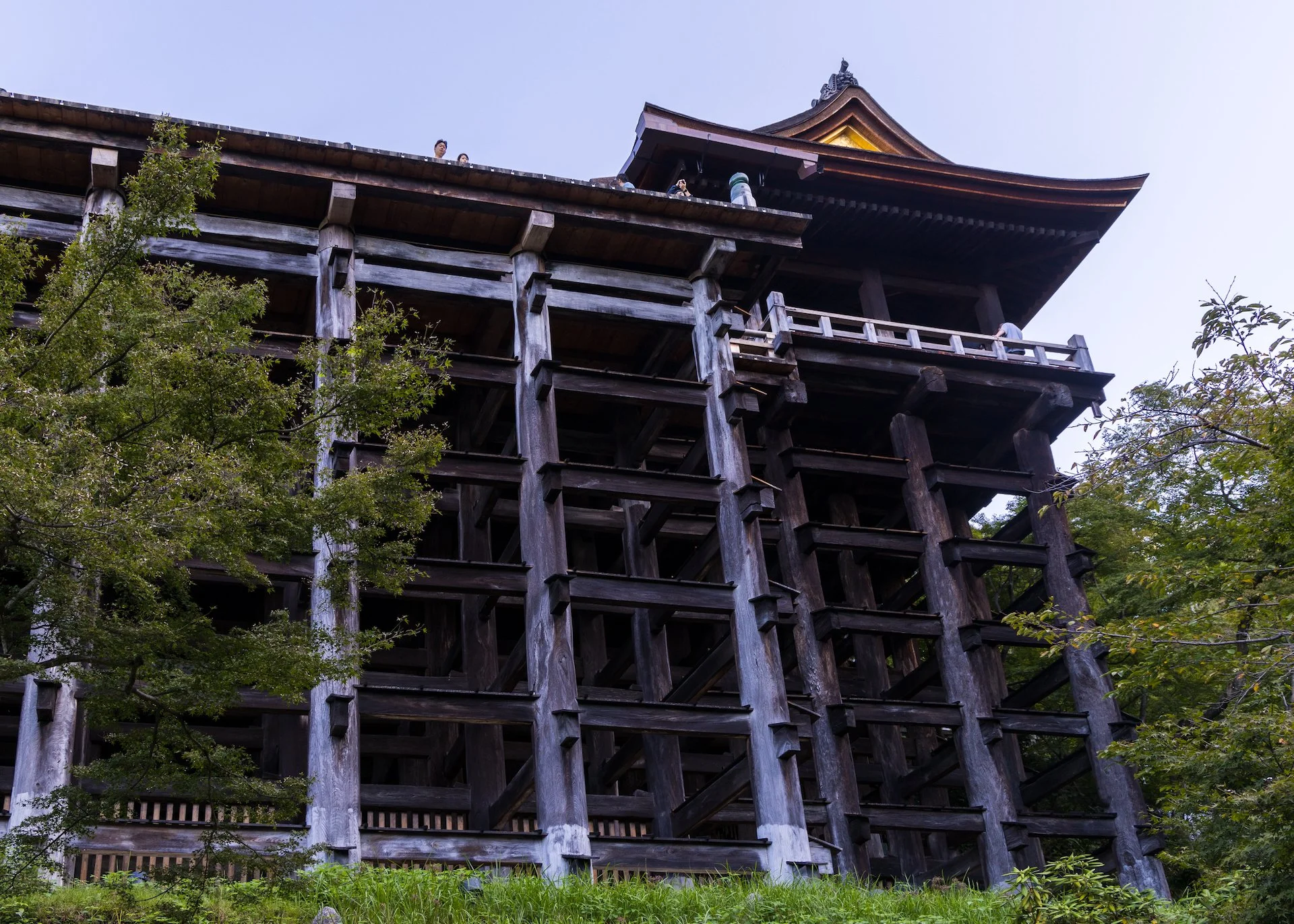  From below, it’s even more impressive. 