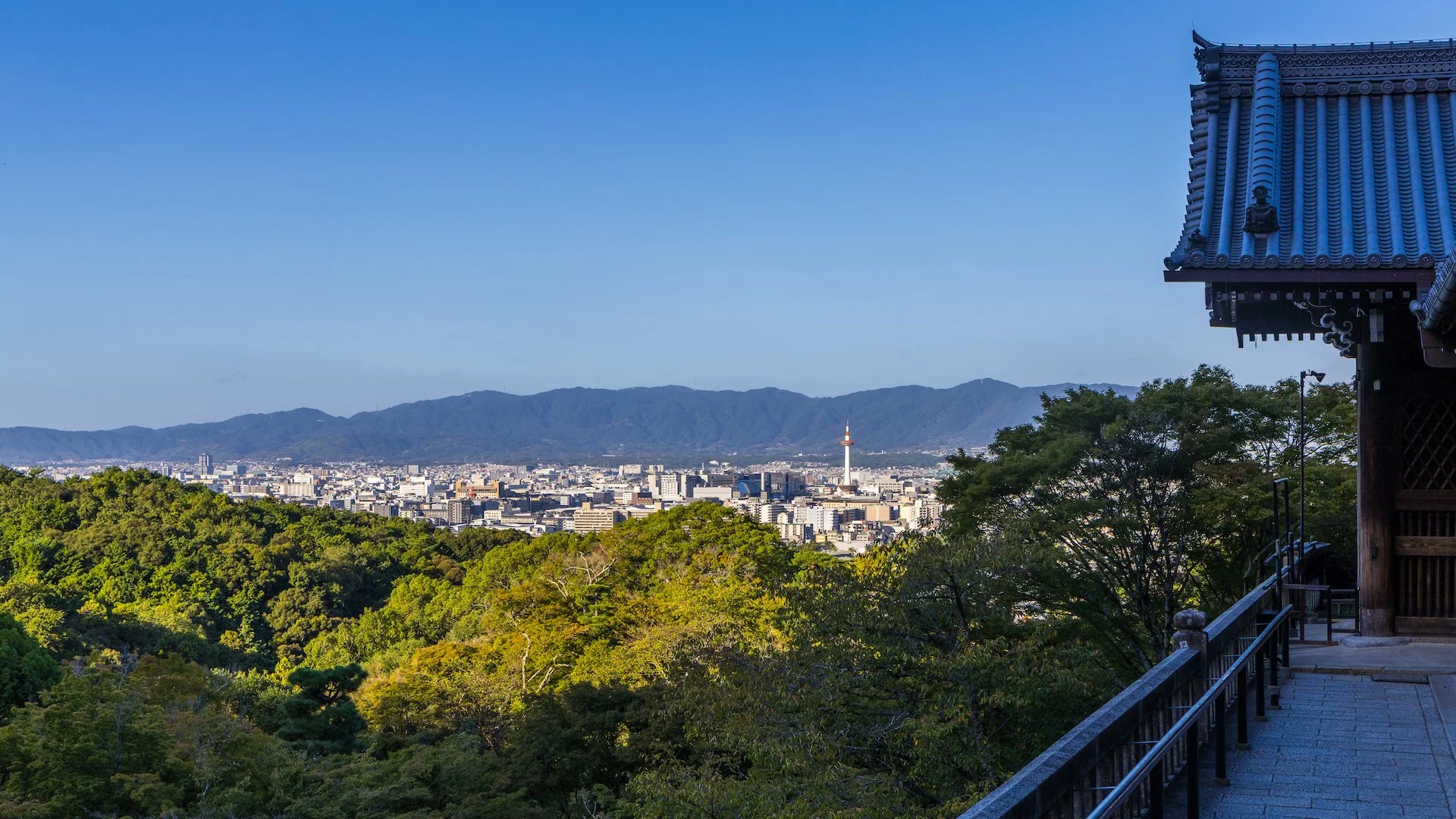  The view out over the city. 