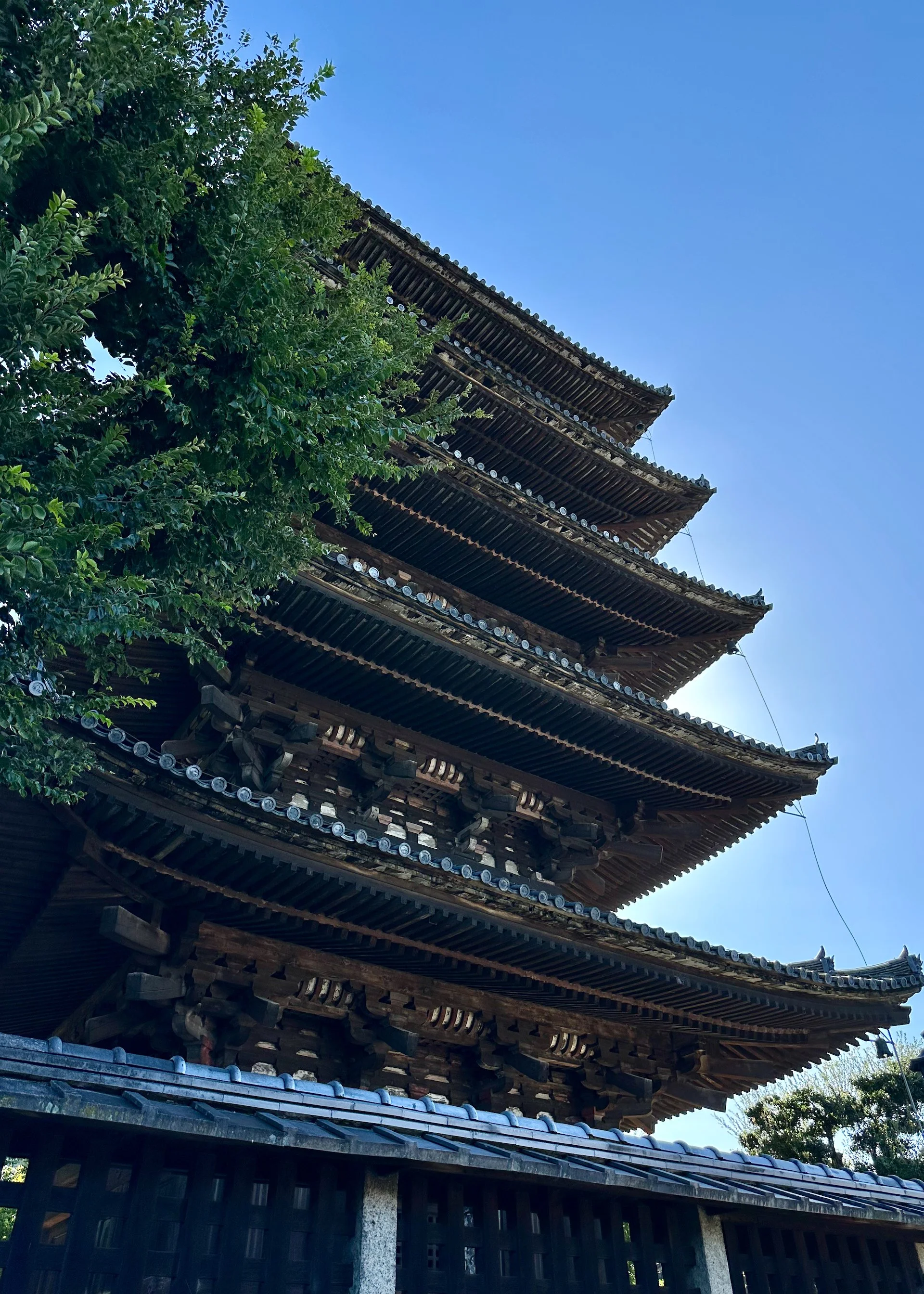 2025 10 Kyoto - 32.jpeg