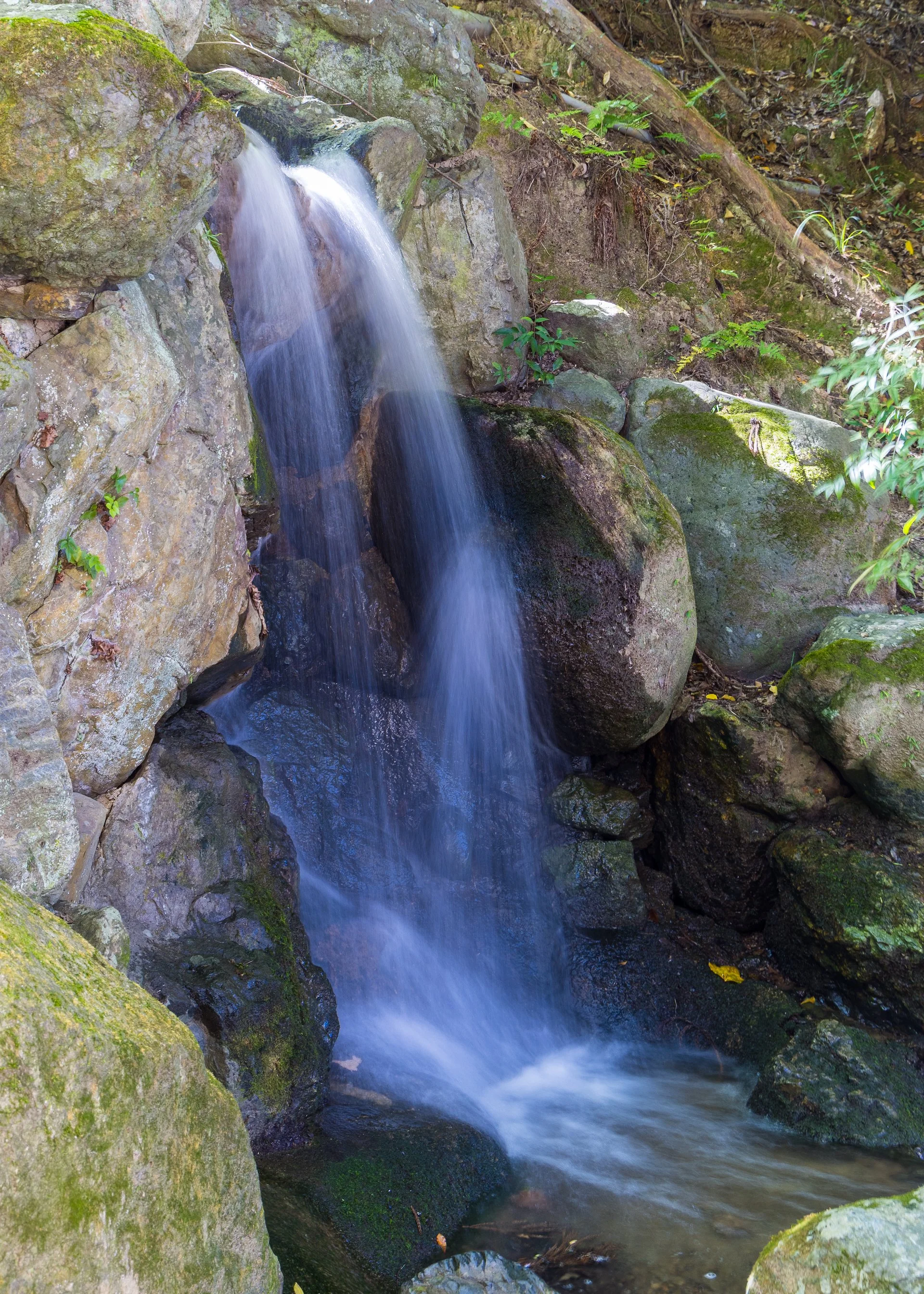 2025 10 Kyoto - 55.jpeg