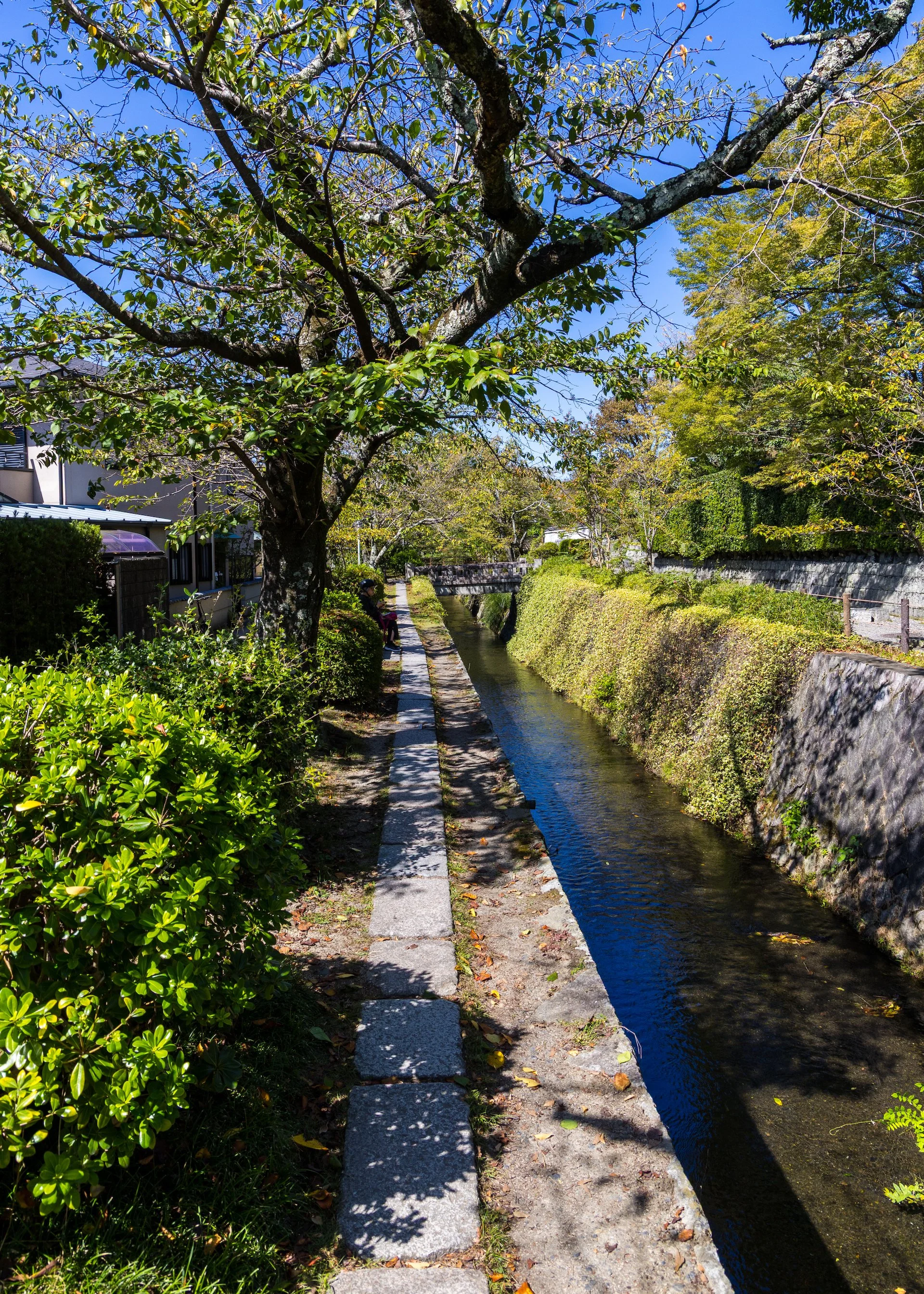  A typical view along the Philosopher’s Path.  