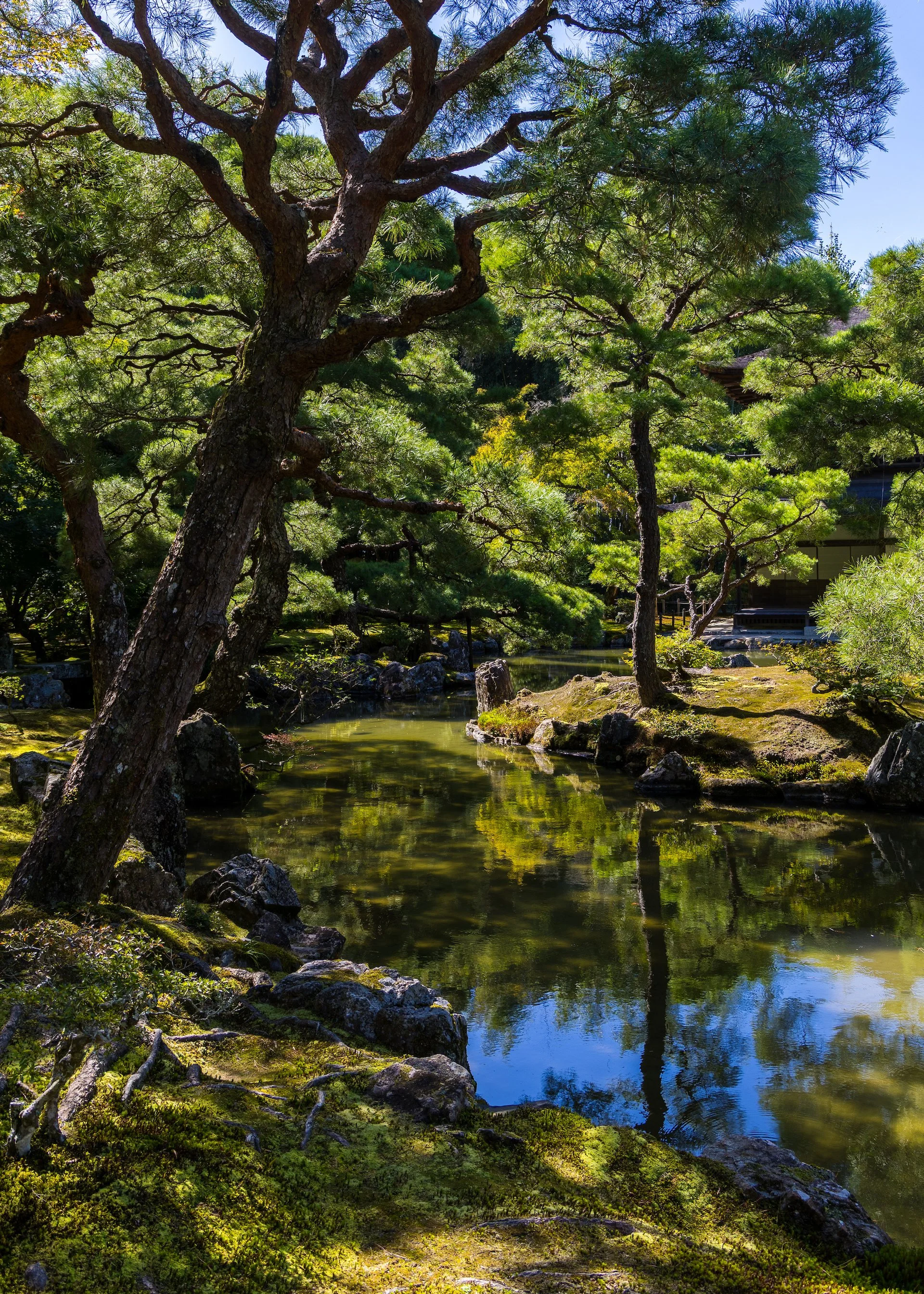  A tranquil pond on the site. 