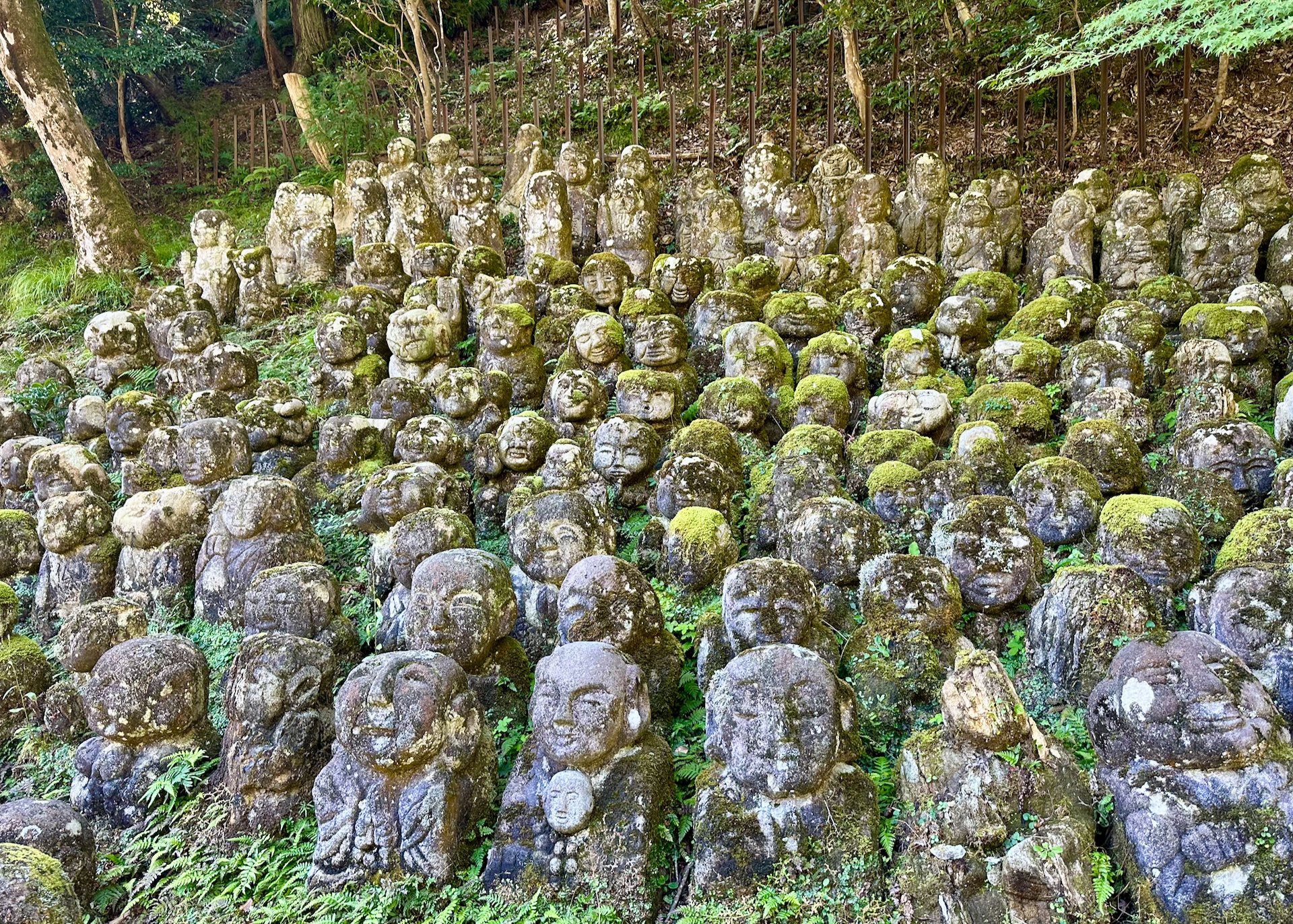  IN places they go all the way up the hill. 