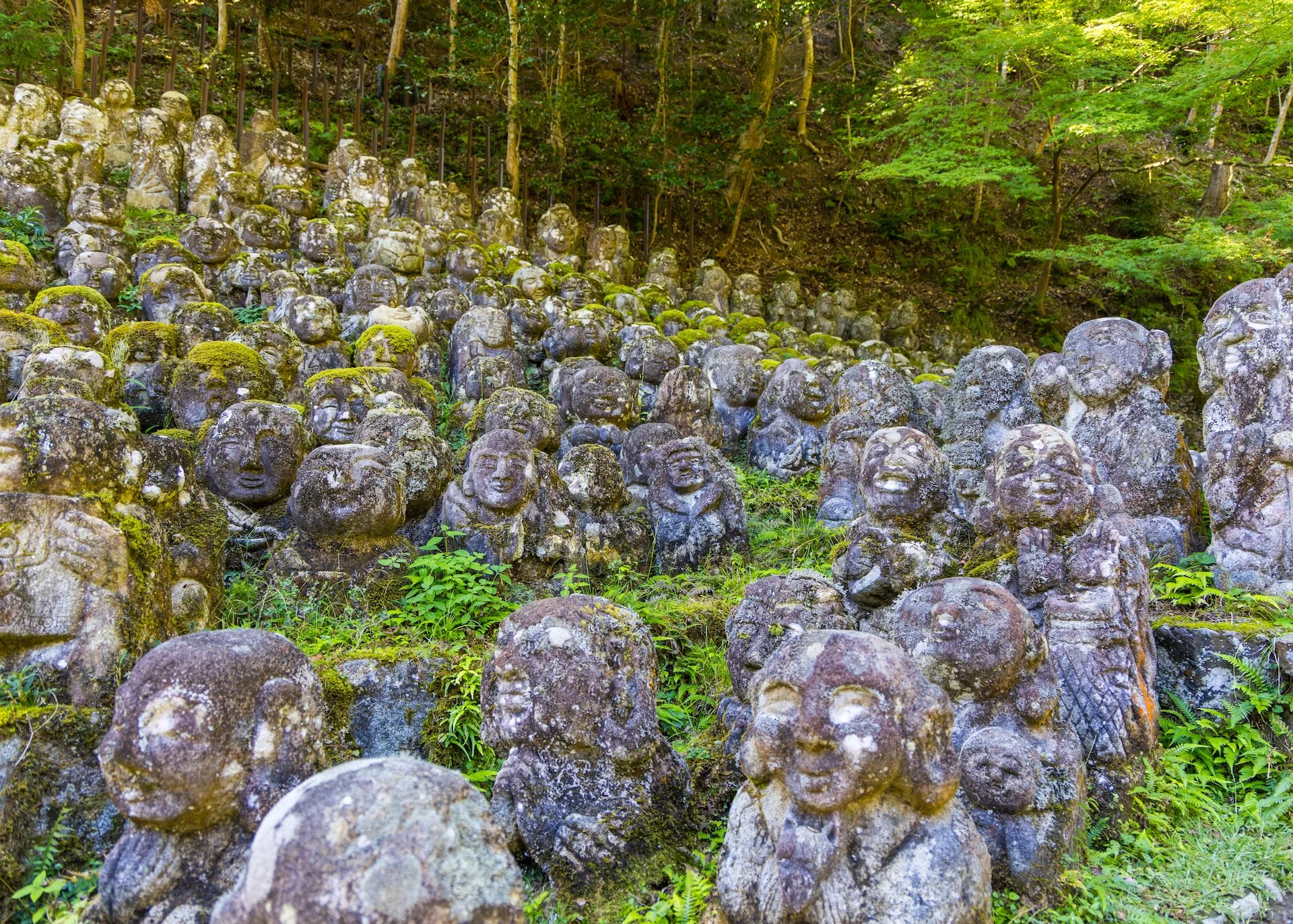 2025 10 Kyoto - 120.jpeg