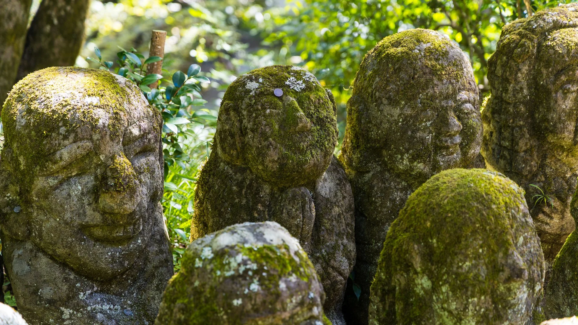 2025 10 Kyoto - 128.jpeg