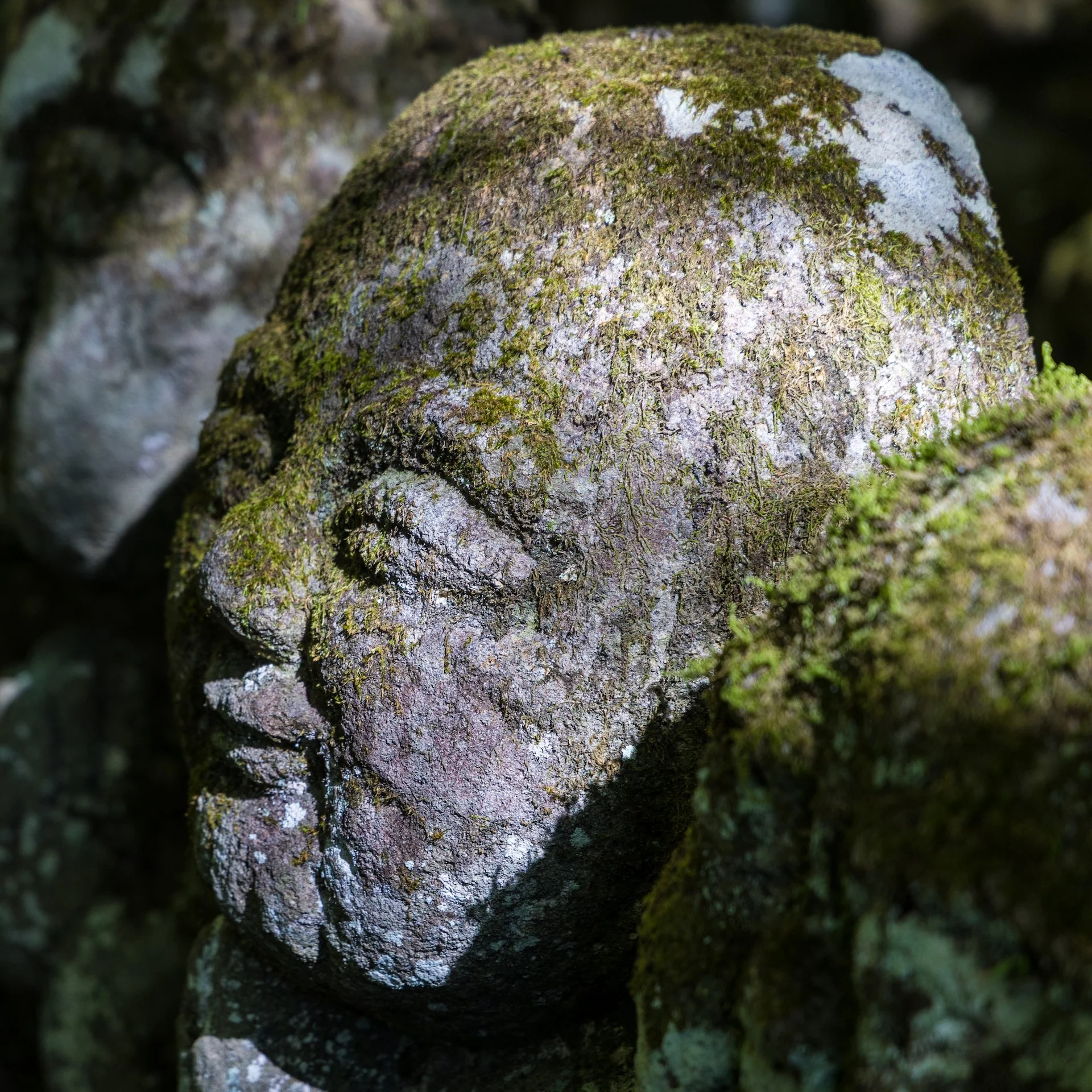 2025 10 Kyoto - 140.jpeg