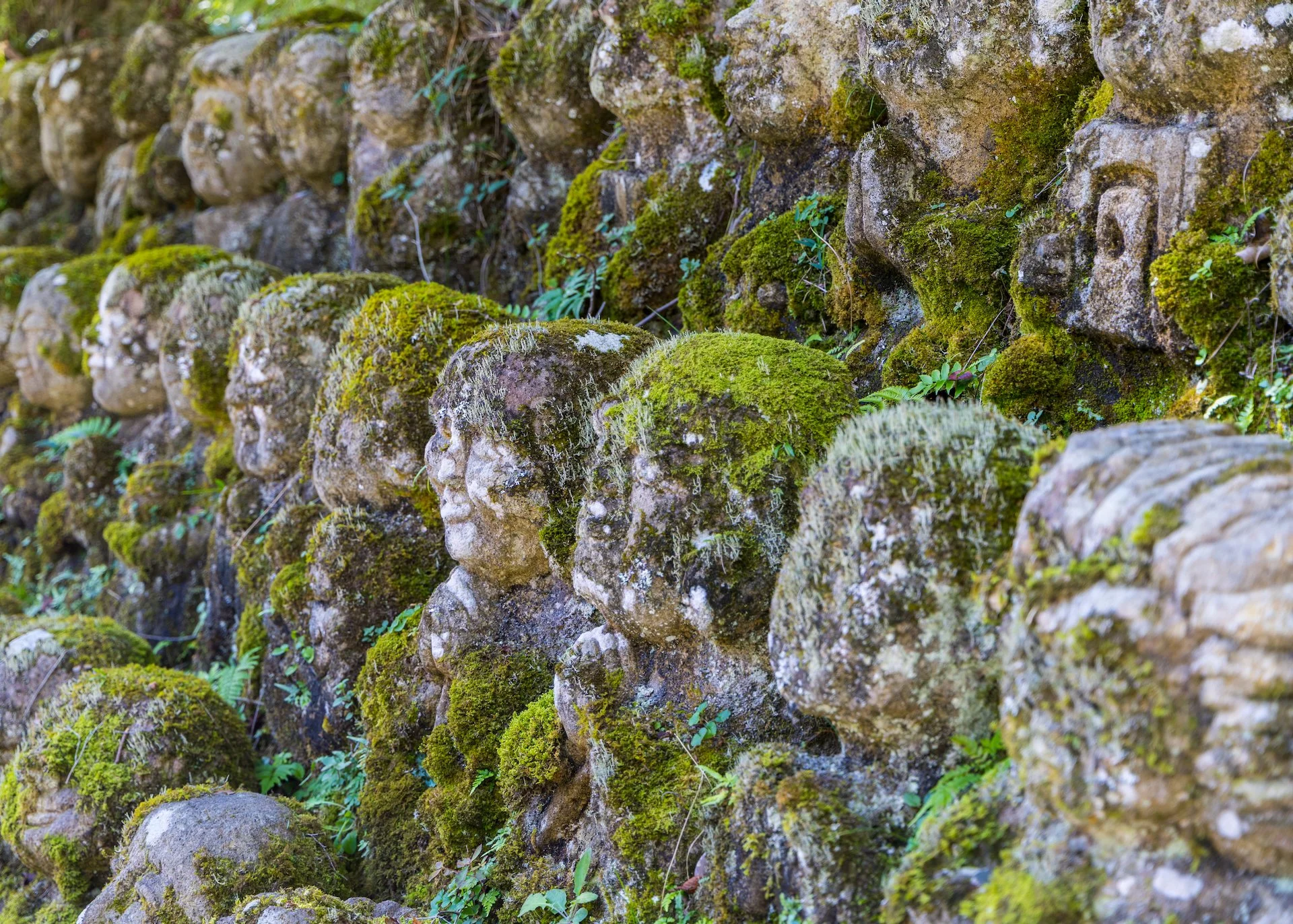 2025 10 Kyoto - 112.jpeg