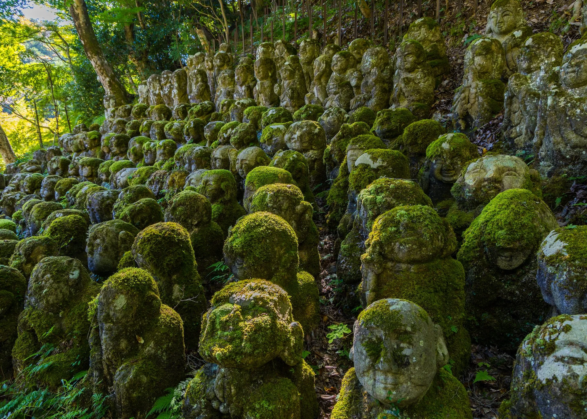 2025 10 Kyoto - 123.jpeg