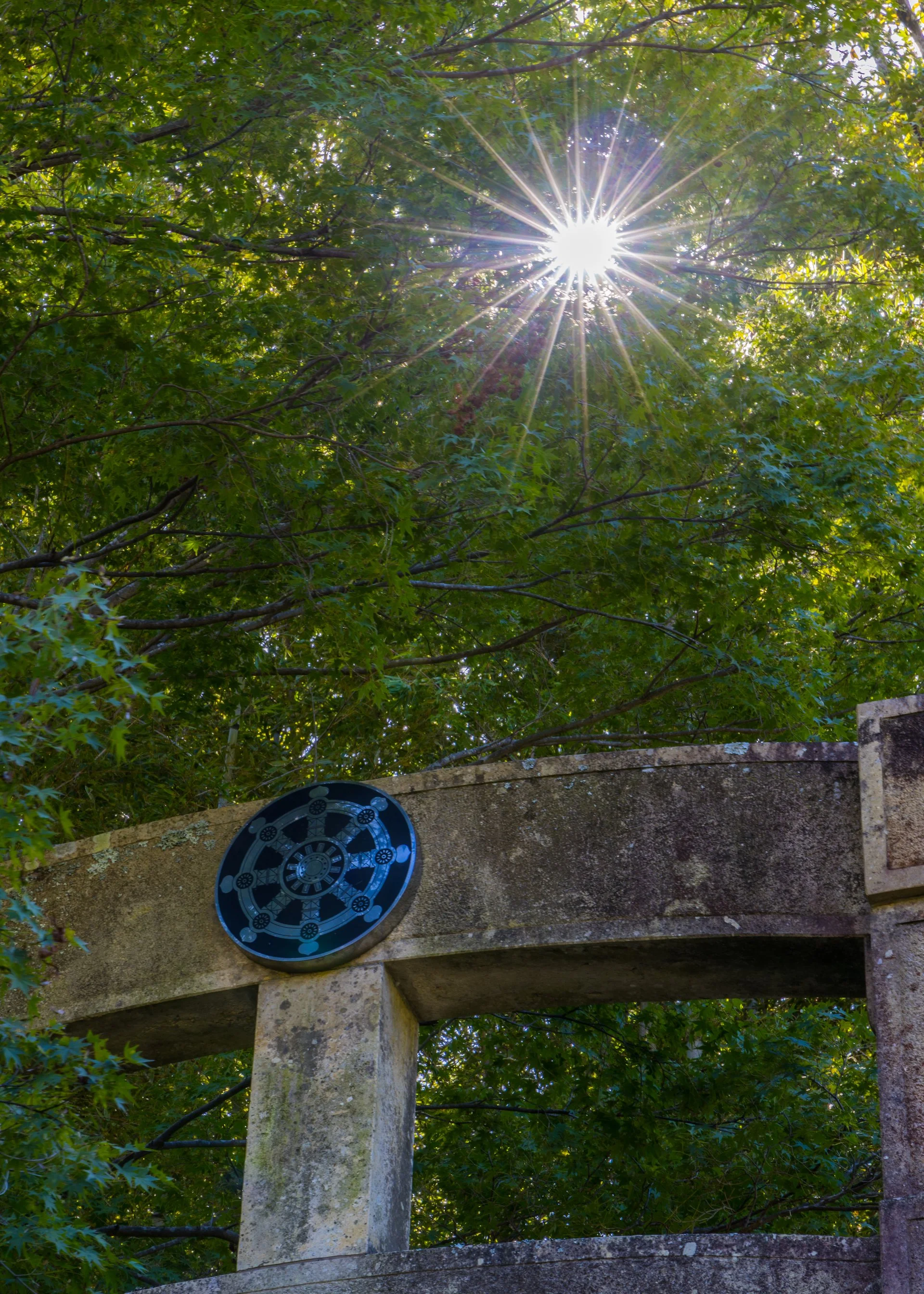 2025 10 Kyoto - 153.jpeg