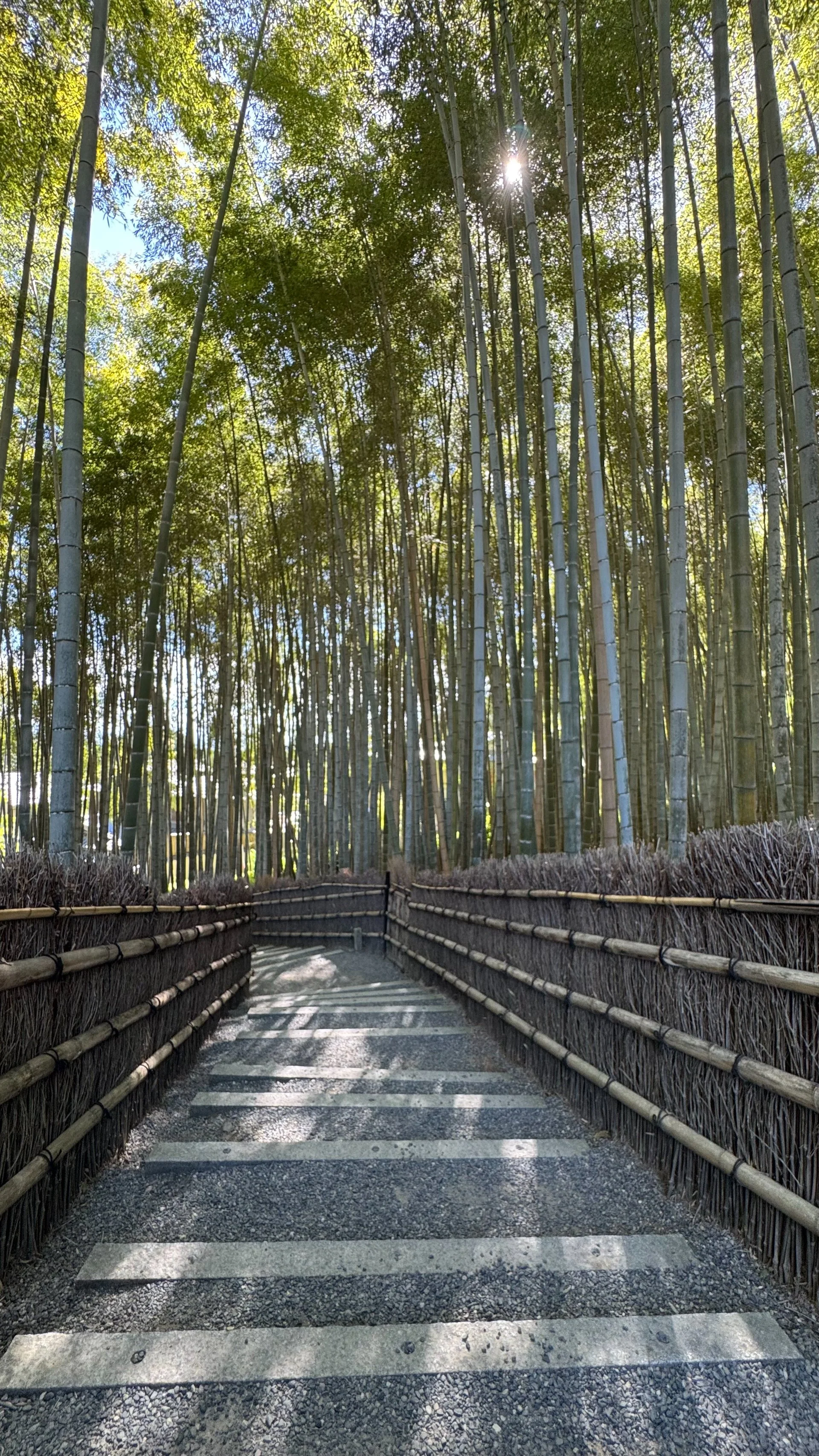 2025 10 Kyoto - 159.jpeg