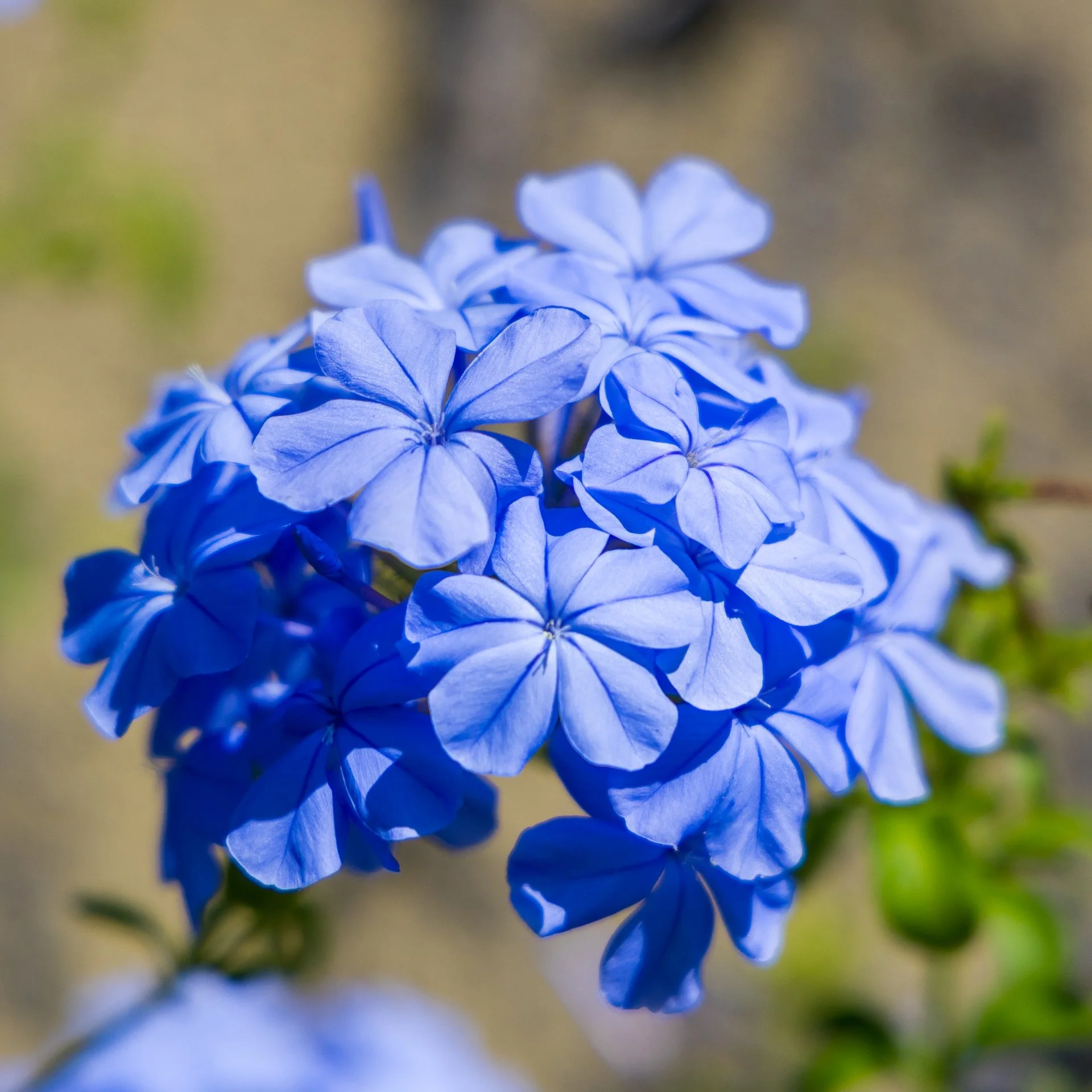 2025 10 Kyoto - 177.jpeg