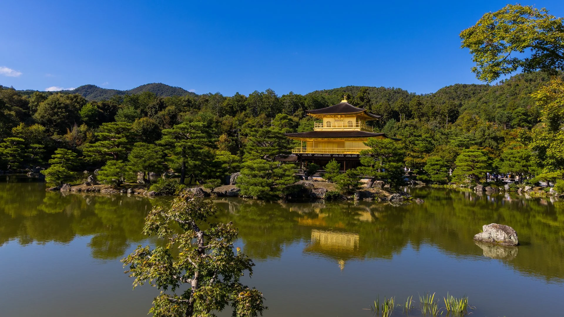 2025 10 Kyoto - 182.jpeg