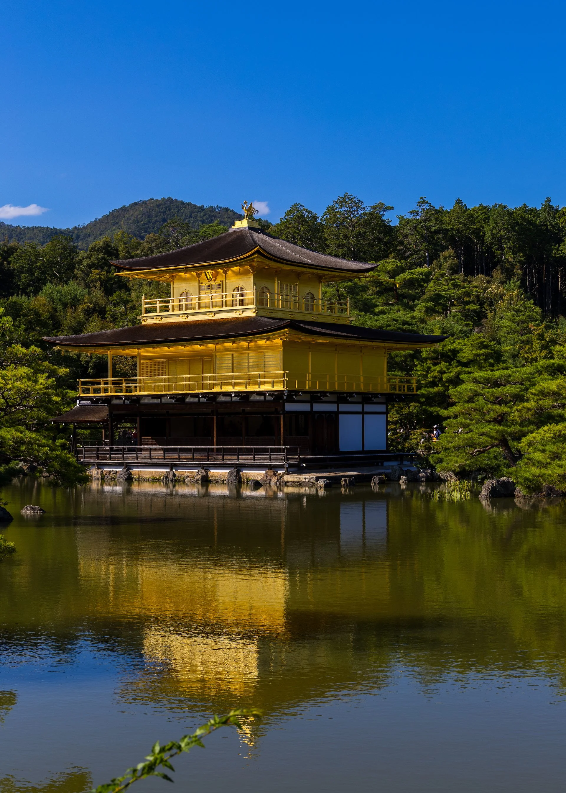 2025 10 Kyoto - 188.jpeg