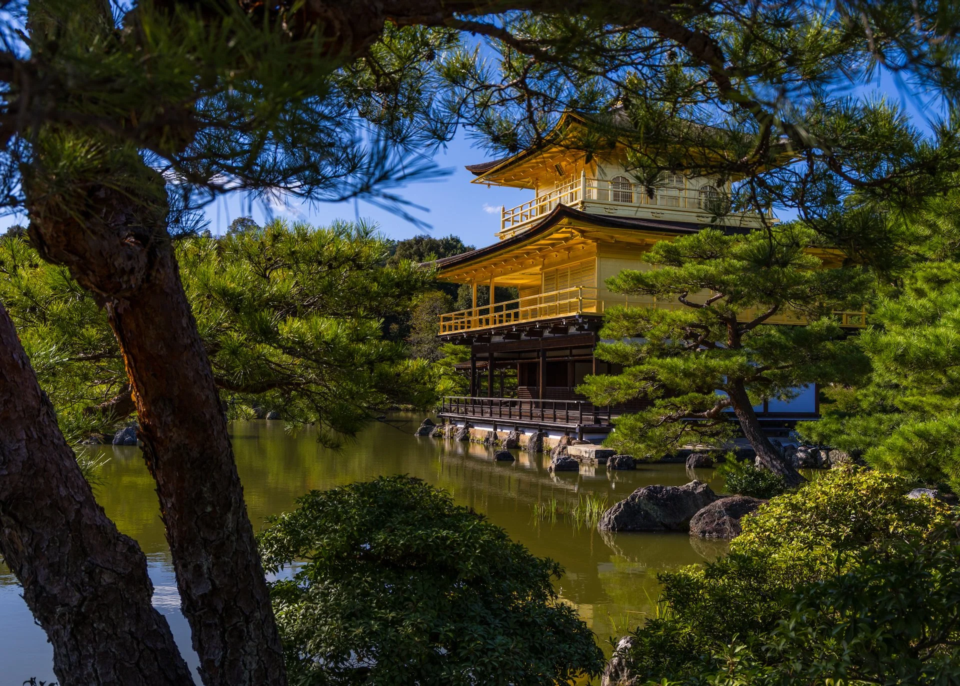 2025 10 Kyoto - 193.jpeg