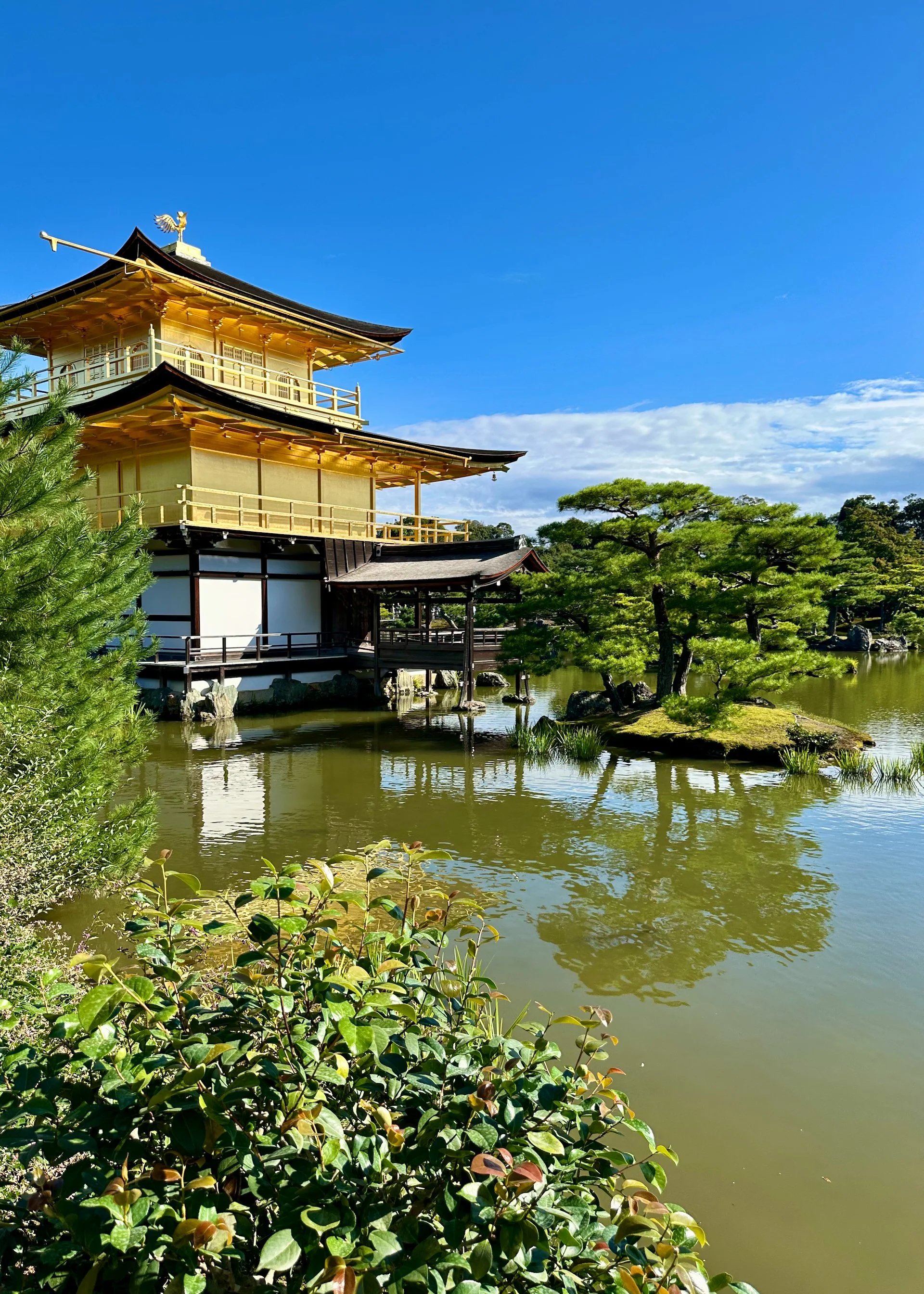 2025 10 Kyoto - 195.jpeg