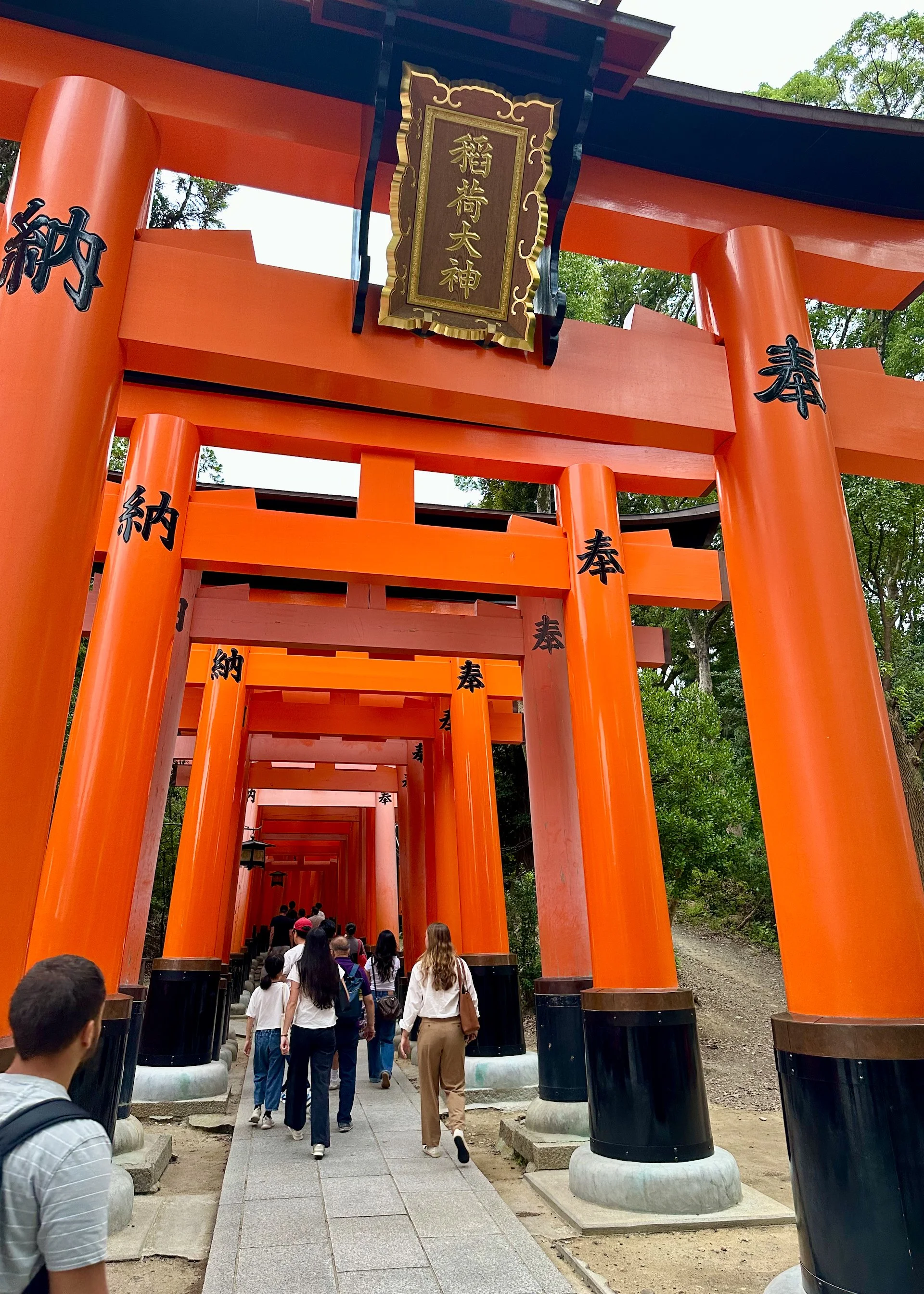  Off we went, following the hordes of tourists. 