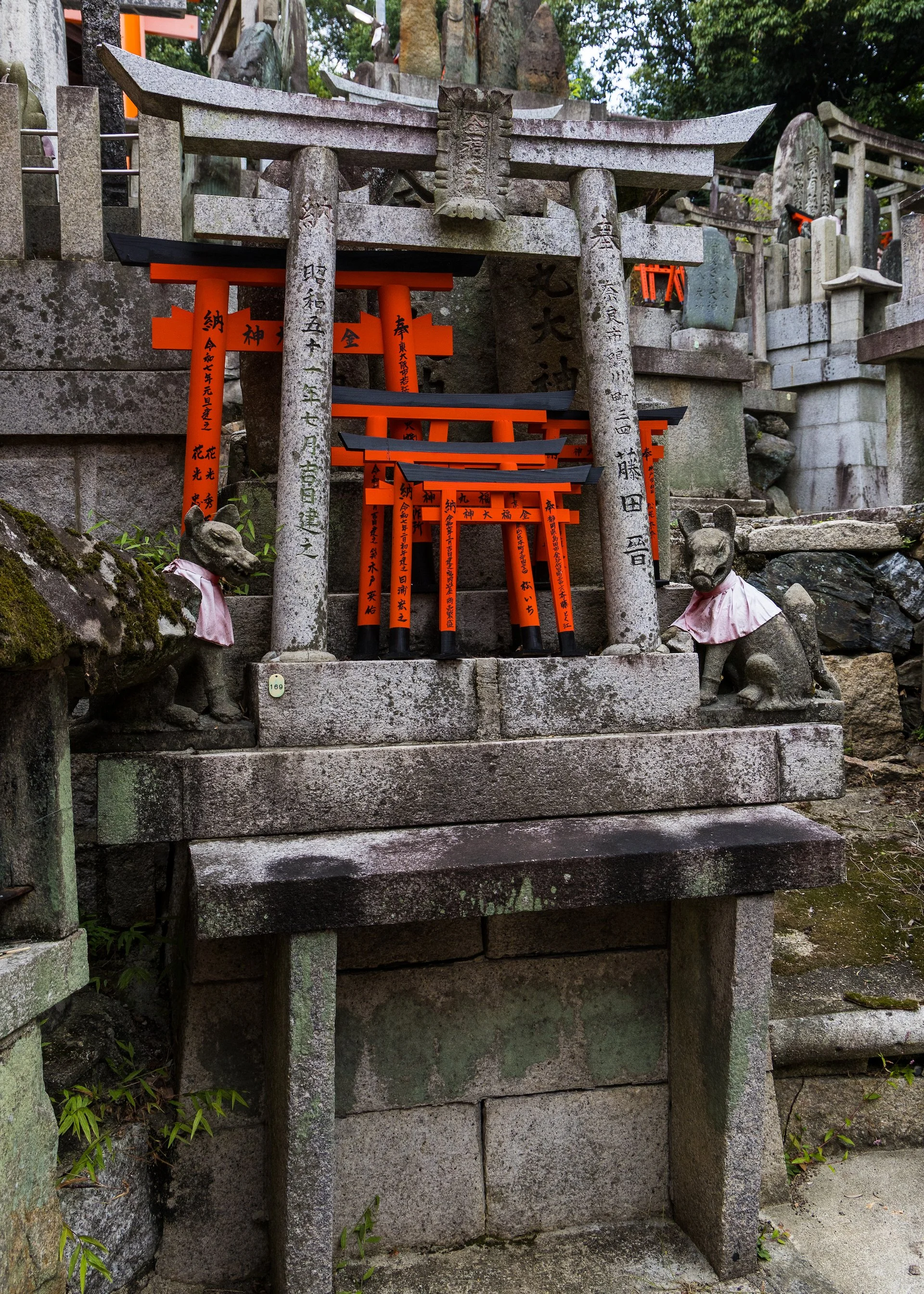  You see foxes on many of them. More on that later. 