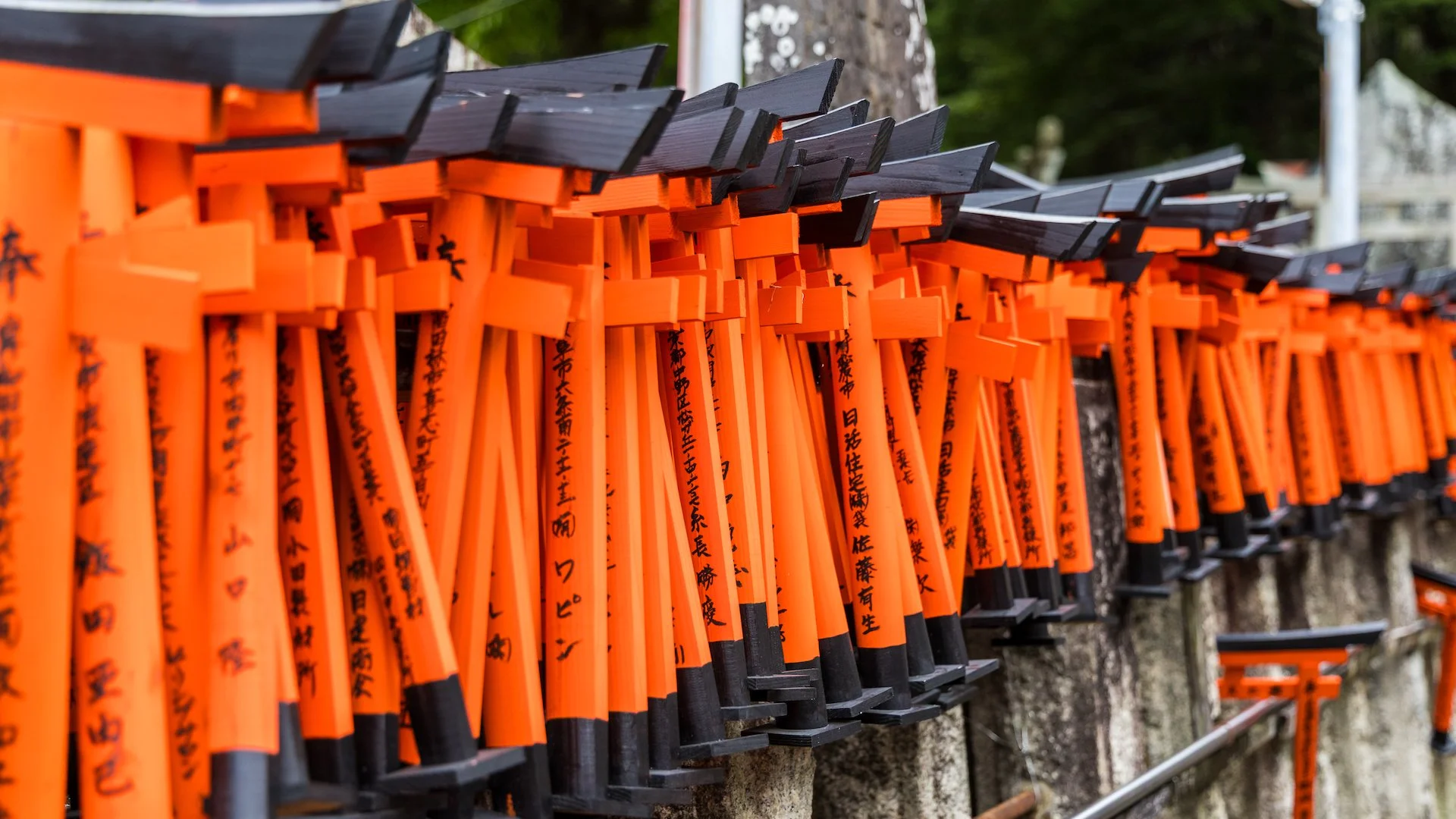  So many torii gates… 