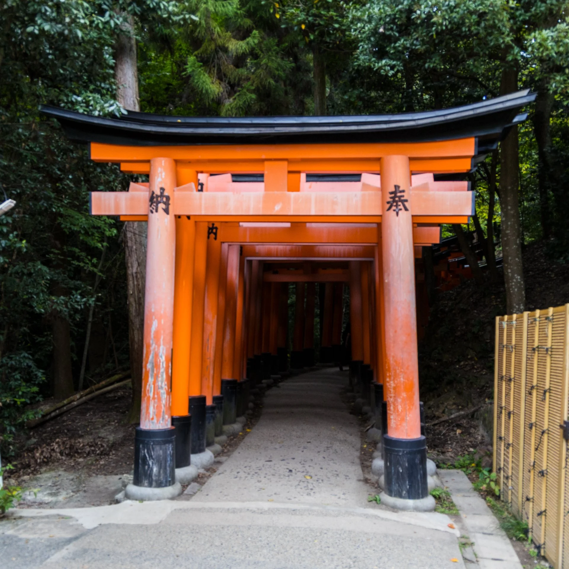 2025 10 Kyoto - 211.jpeg