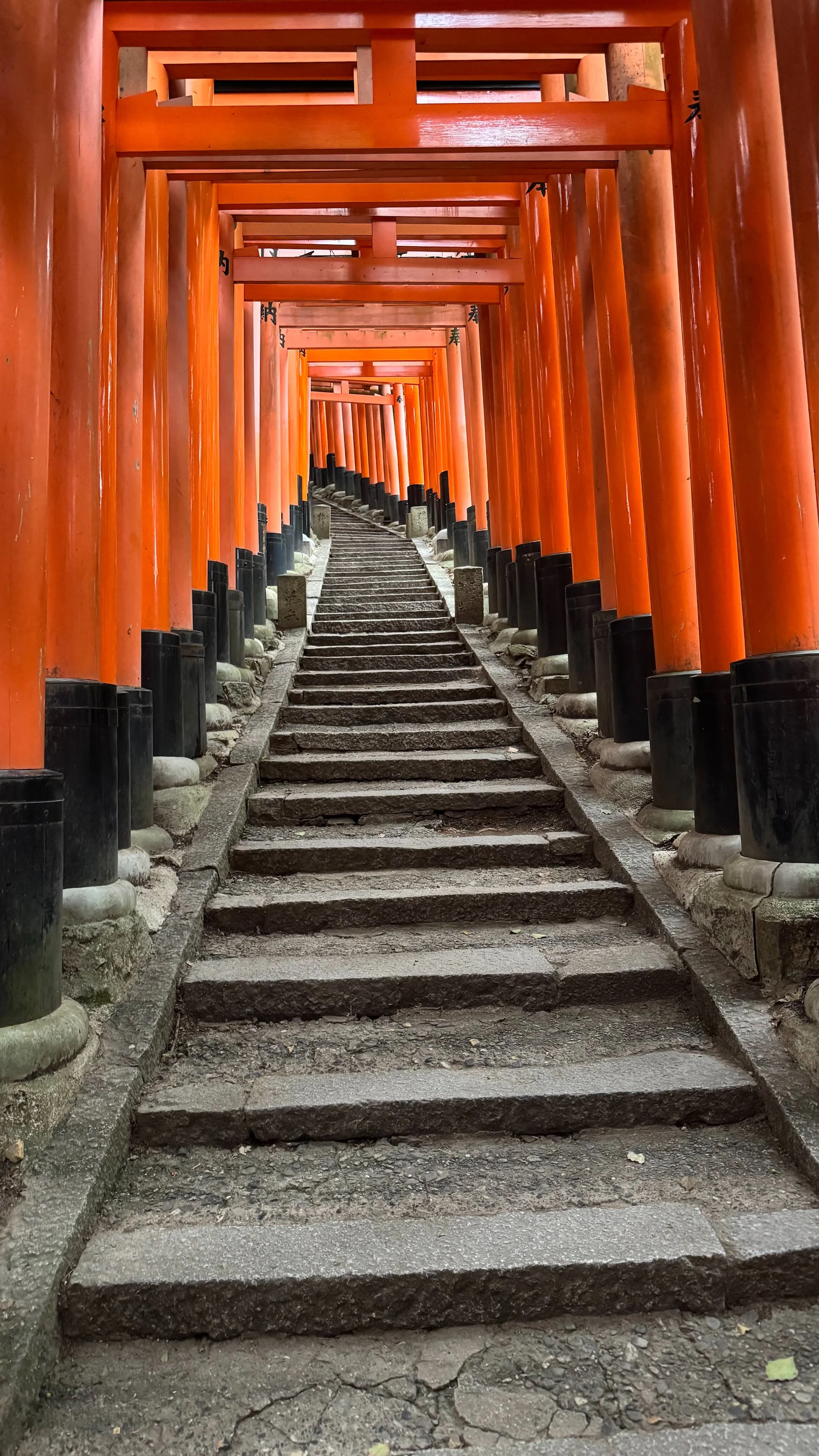 2025 10 Kyoto - 228.jpeg