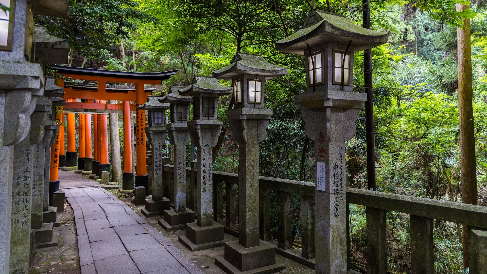  These were a few of my favorite photos from the hike. I loved the combination of the stone lanterns with the torii gates. 