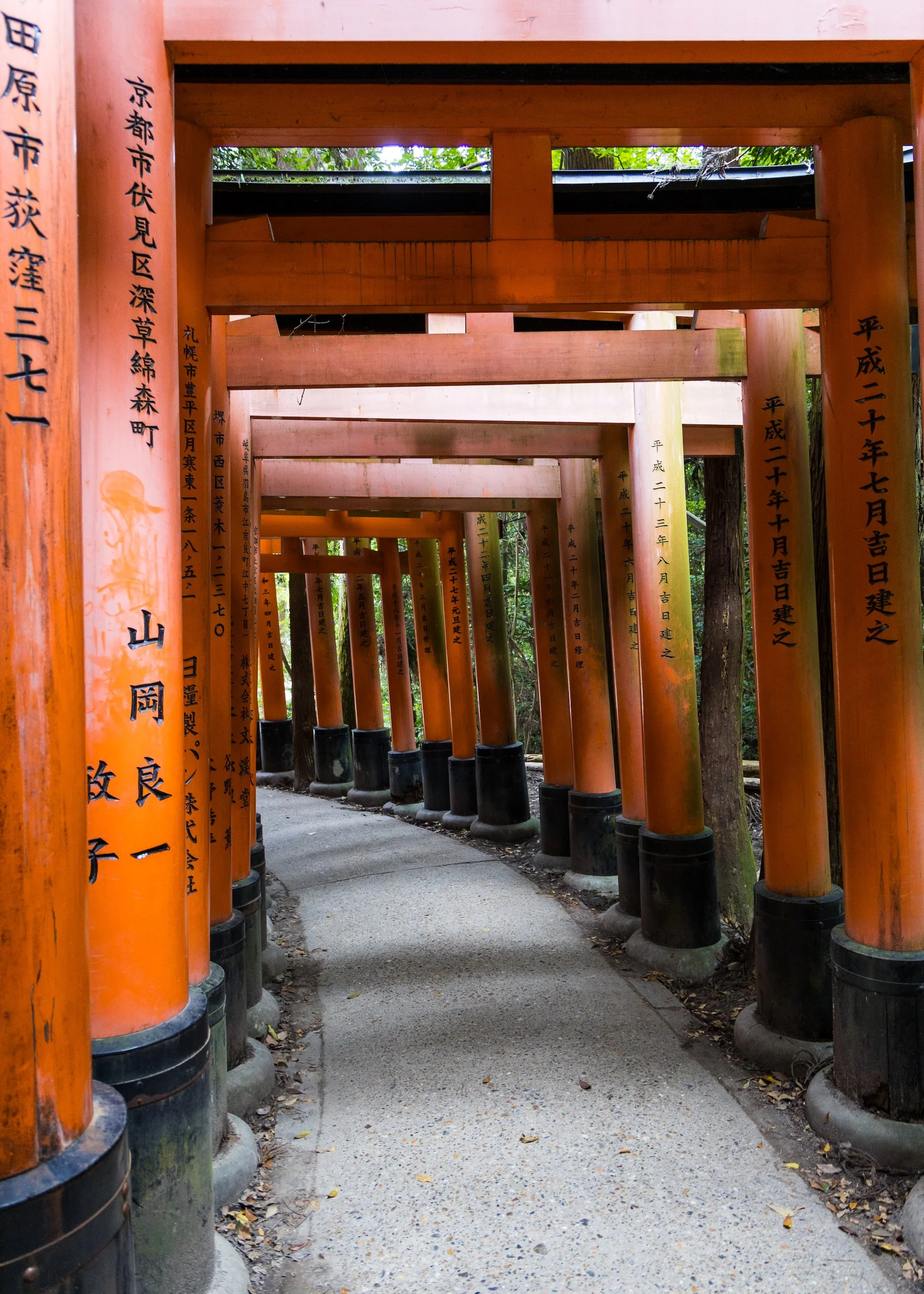 2025 10 Kyoto - 212.jpeg