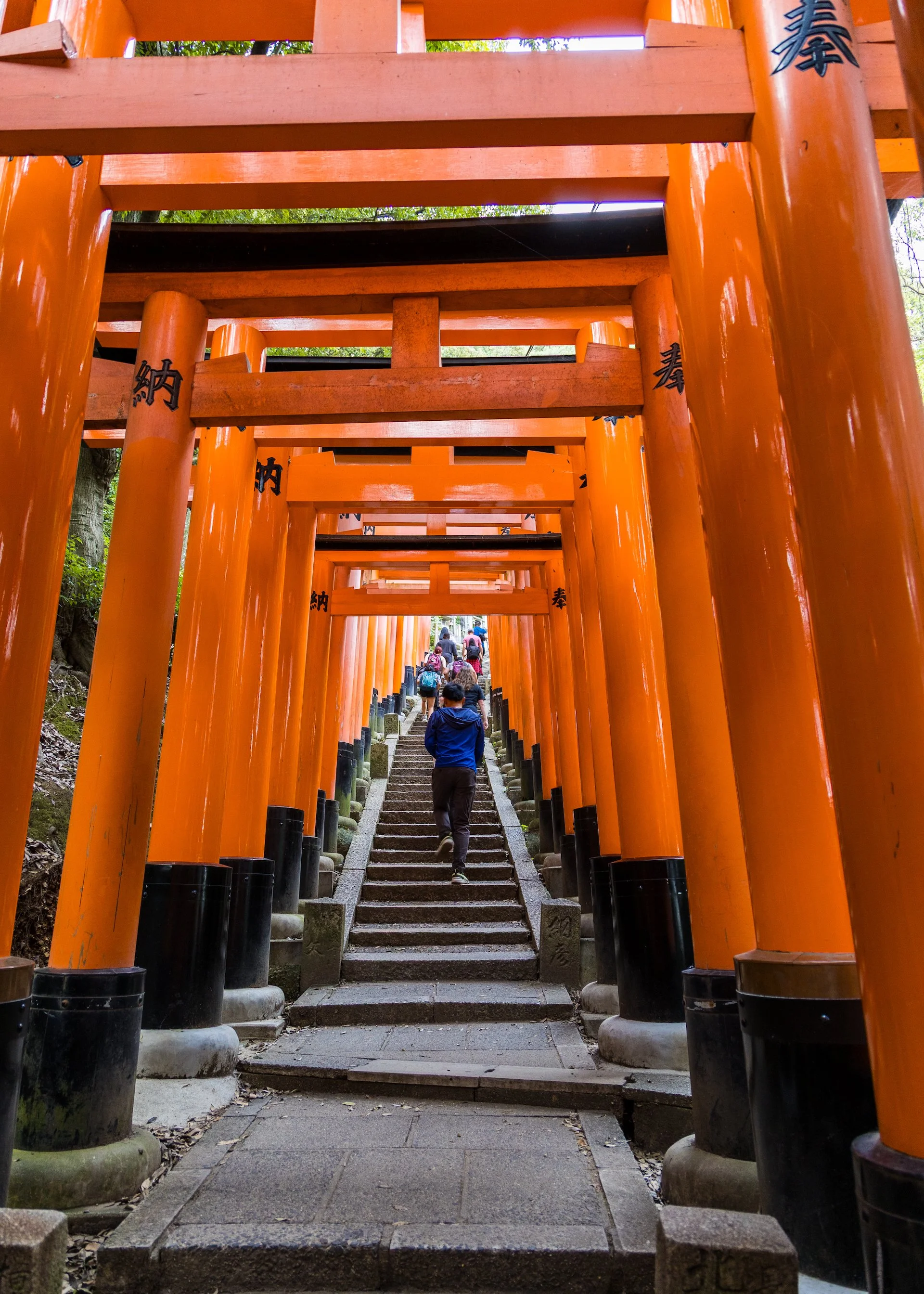 2025 10 Kyoto - 214.jpeg