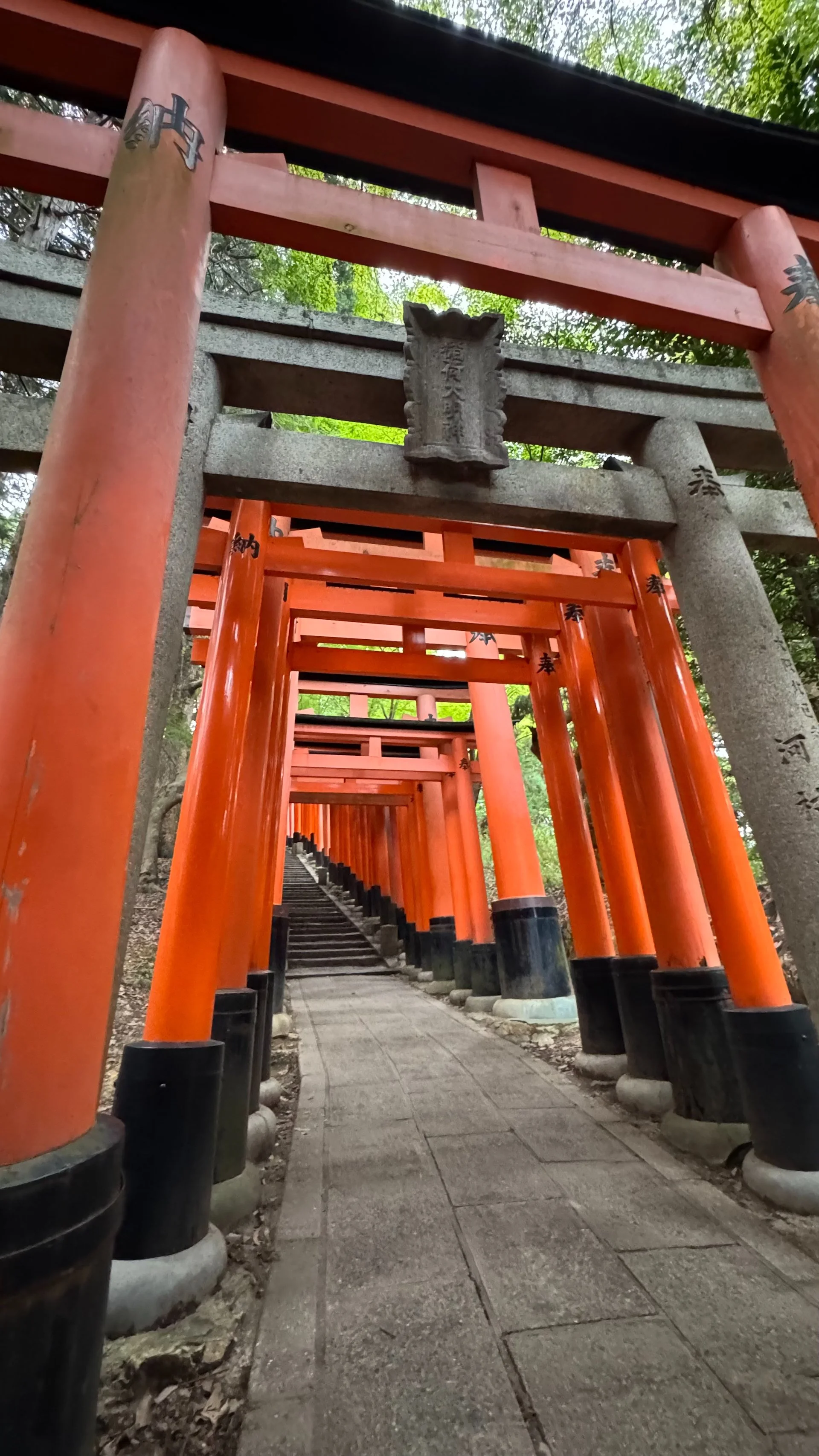 2025 10 Kyoto - 226.jpeg