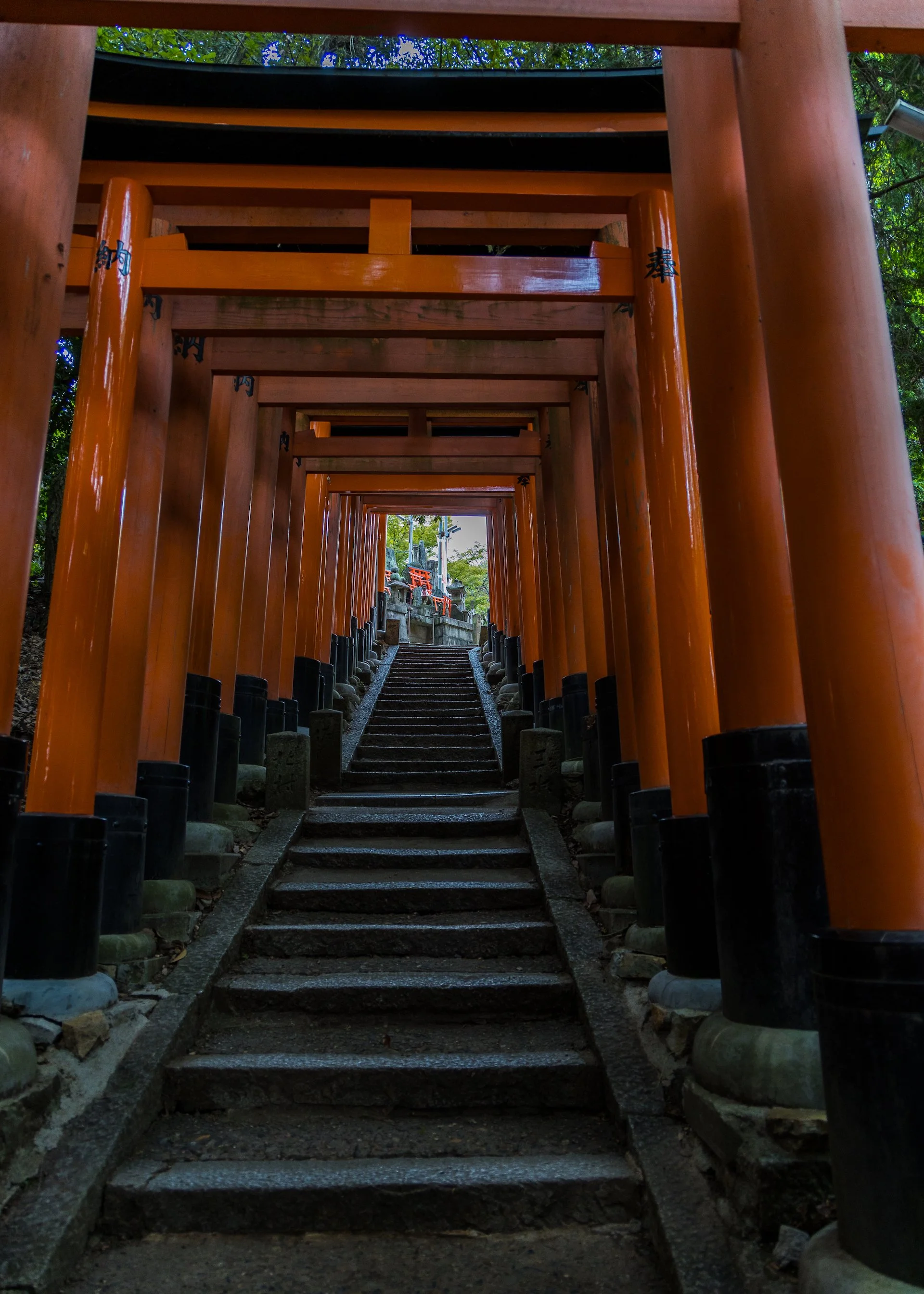 2025 10 Kyoto - 229.jpeg