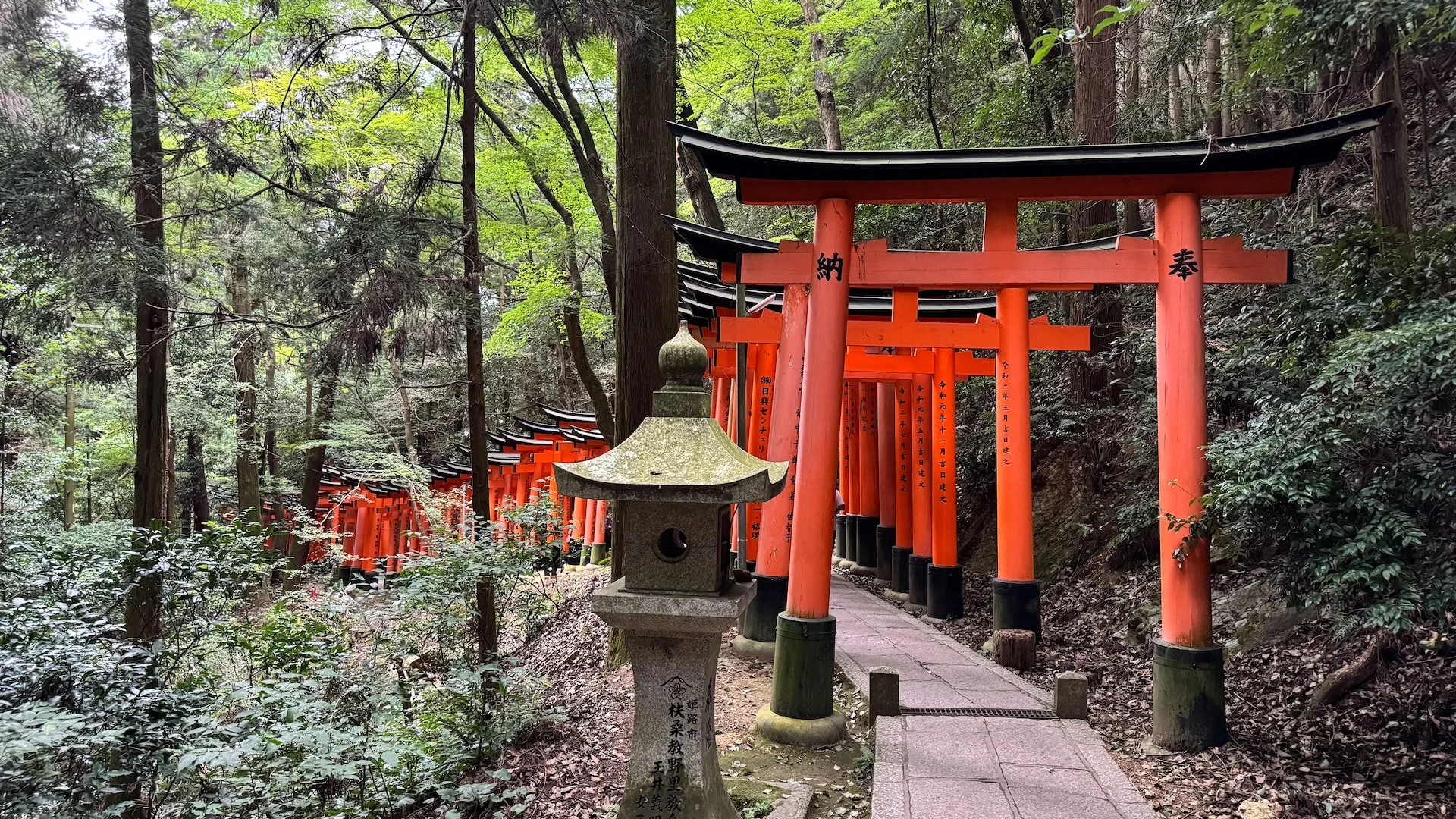 2025 10 Kyoto - 234.jpeg