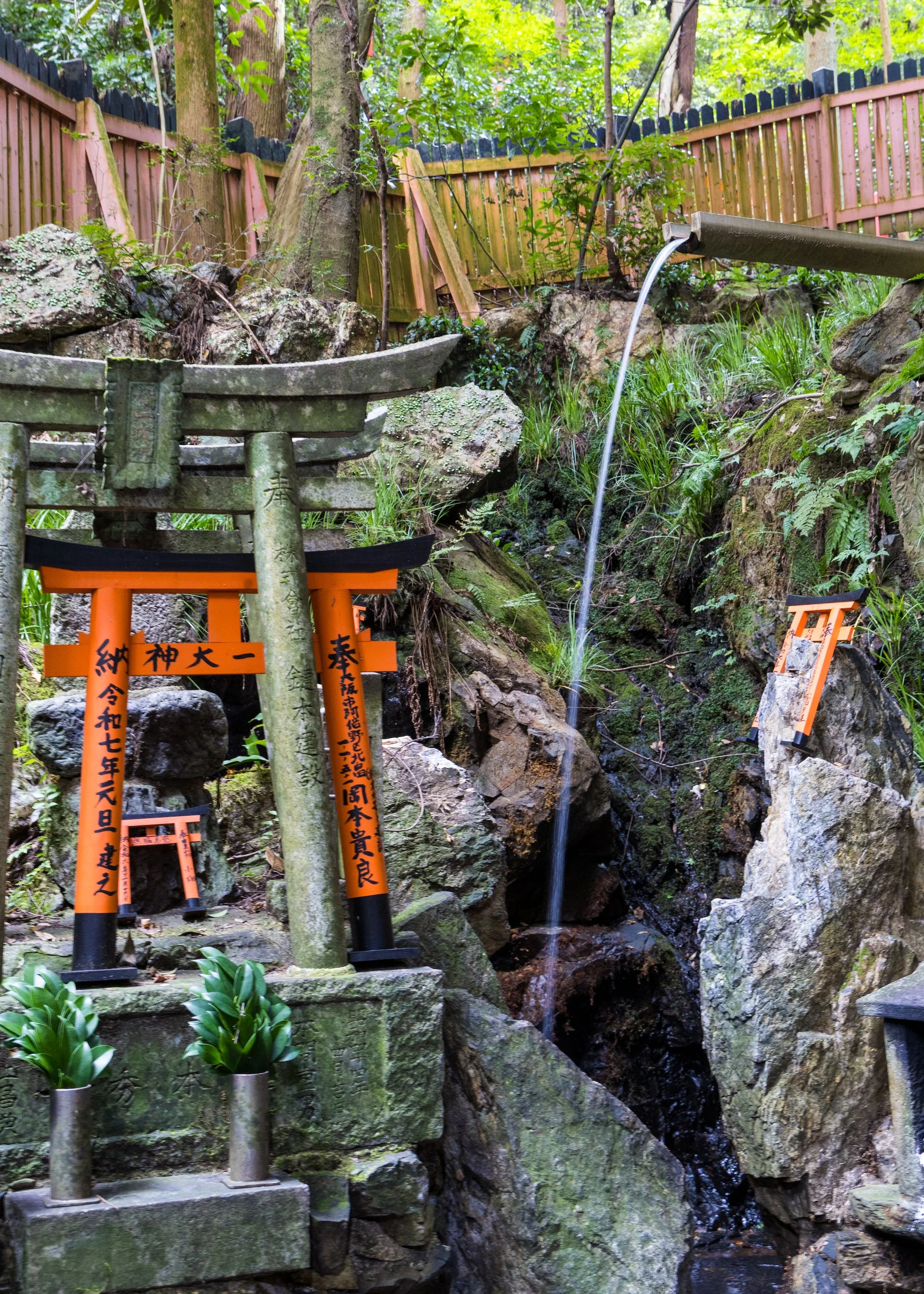 2025 10 Kyoto - 237.jpeg