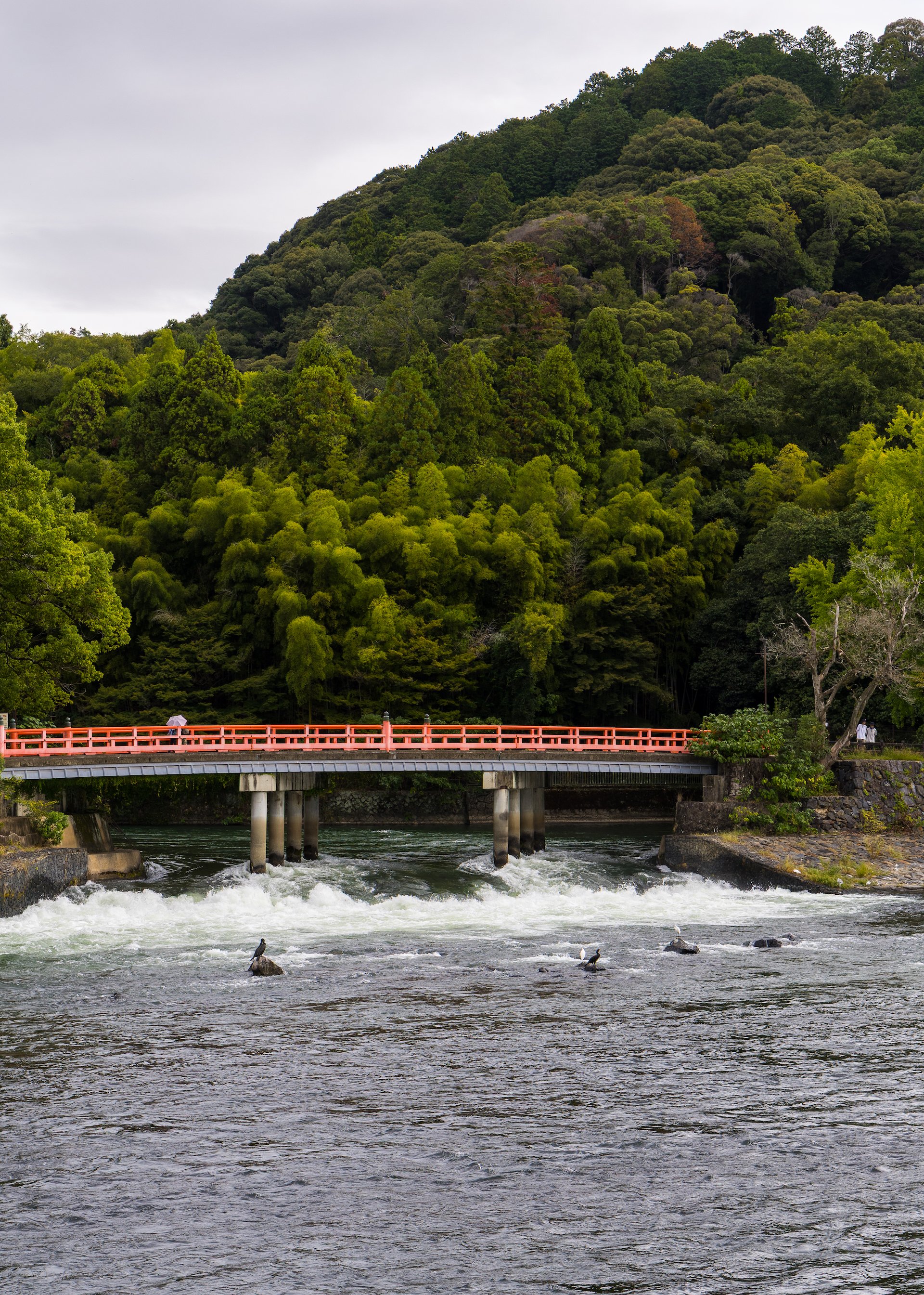  The river tumbling down from the mountains. 