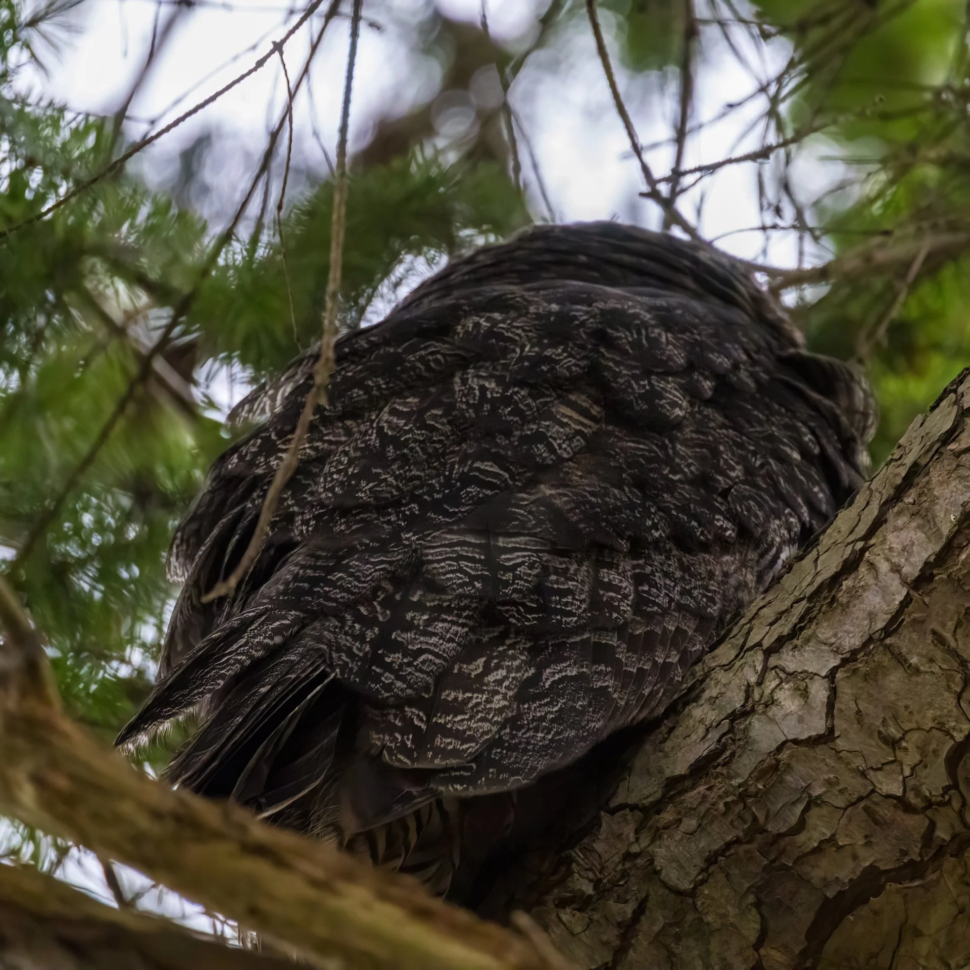  But where they were sitting, you really couldn’t see either of them.  