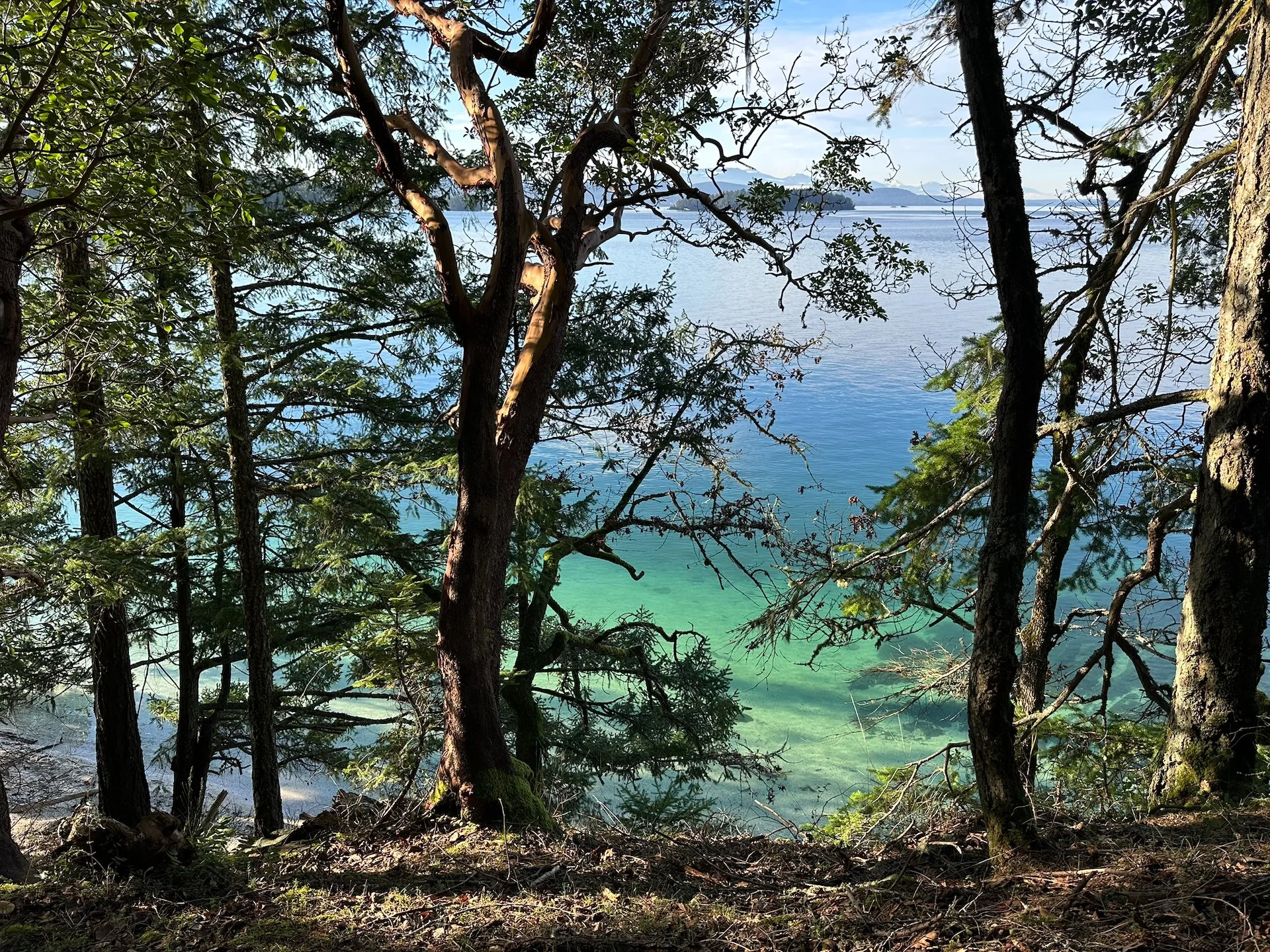 2026 01 Galiano - 4.jpeg