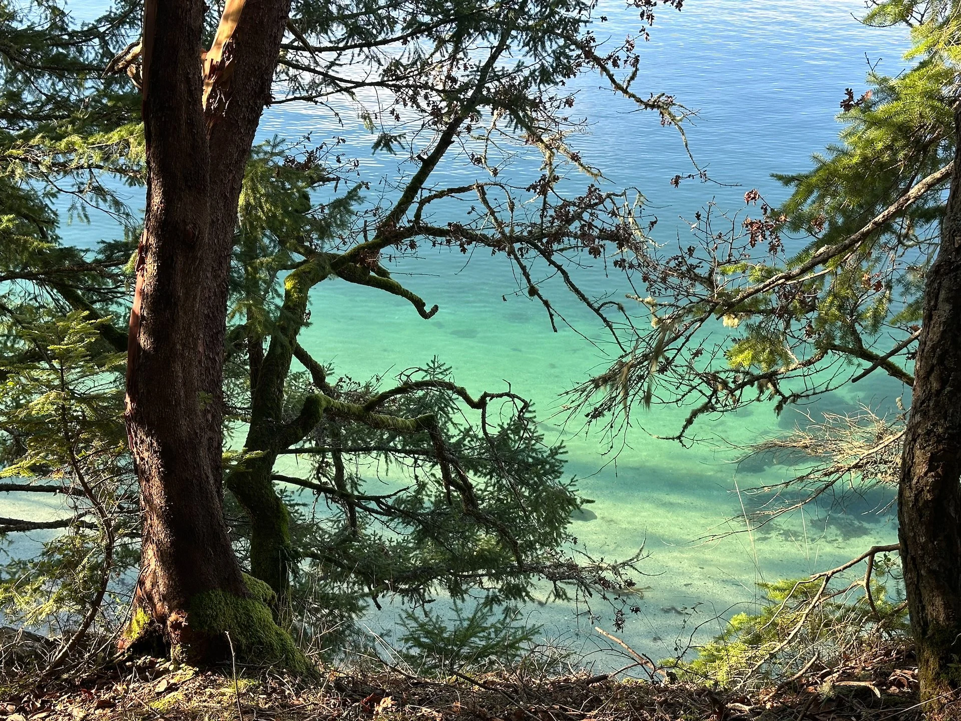 2026 01 Galiano - 5.jpeg