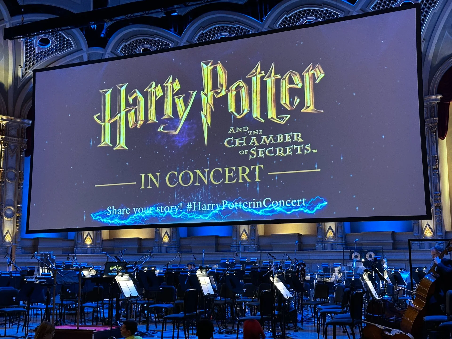 2026 01 Harry Potter - 4.jpeg