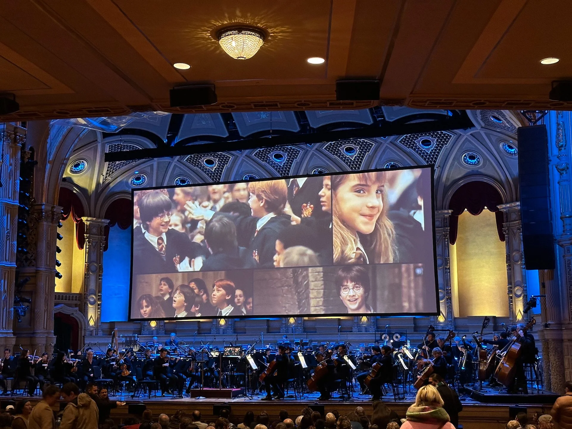 2026 01 Harry Potter - 3.jpeg