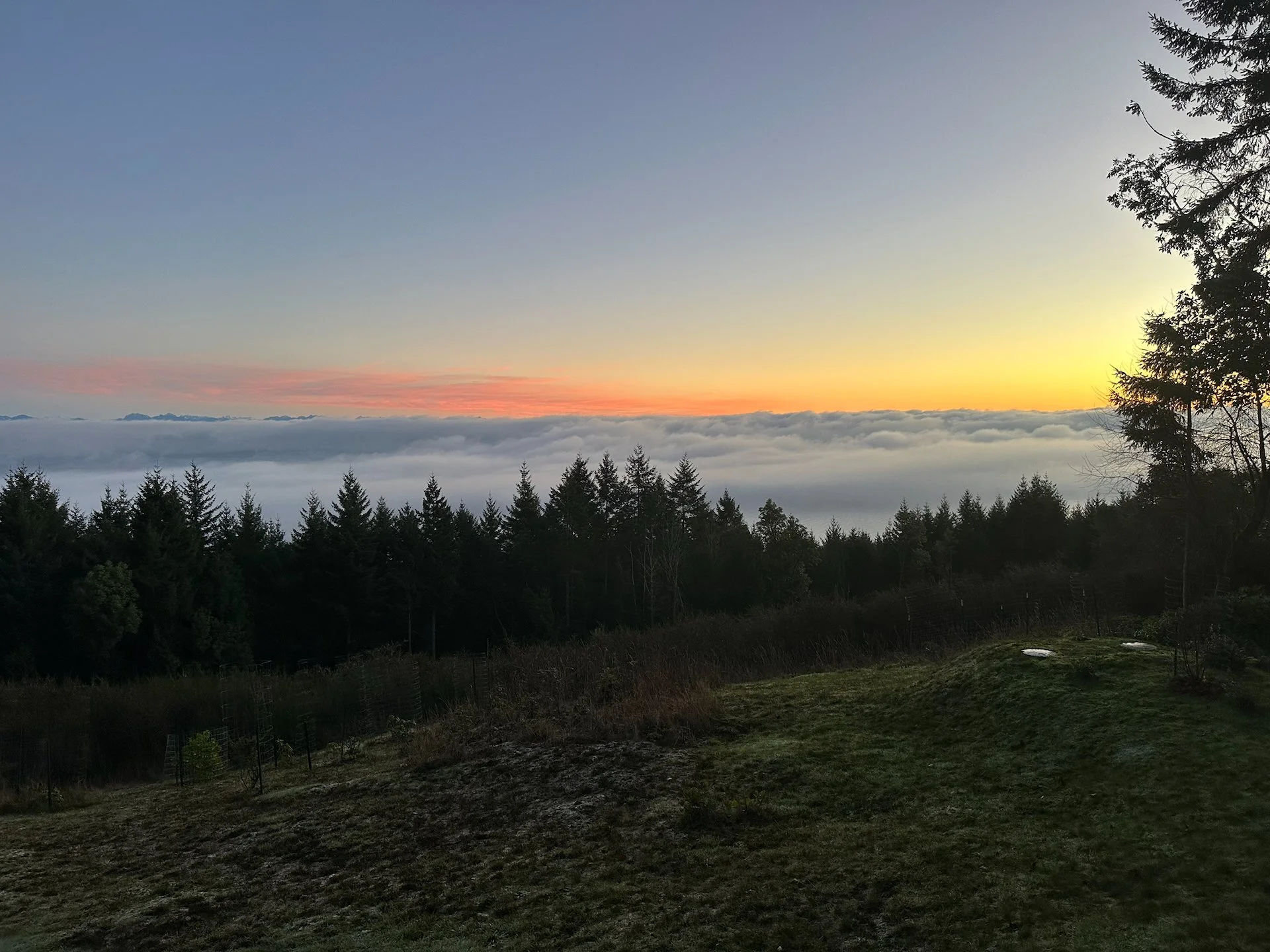 2026 01 Galiano Inversion - 1.jpeg