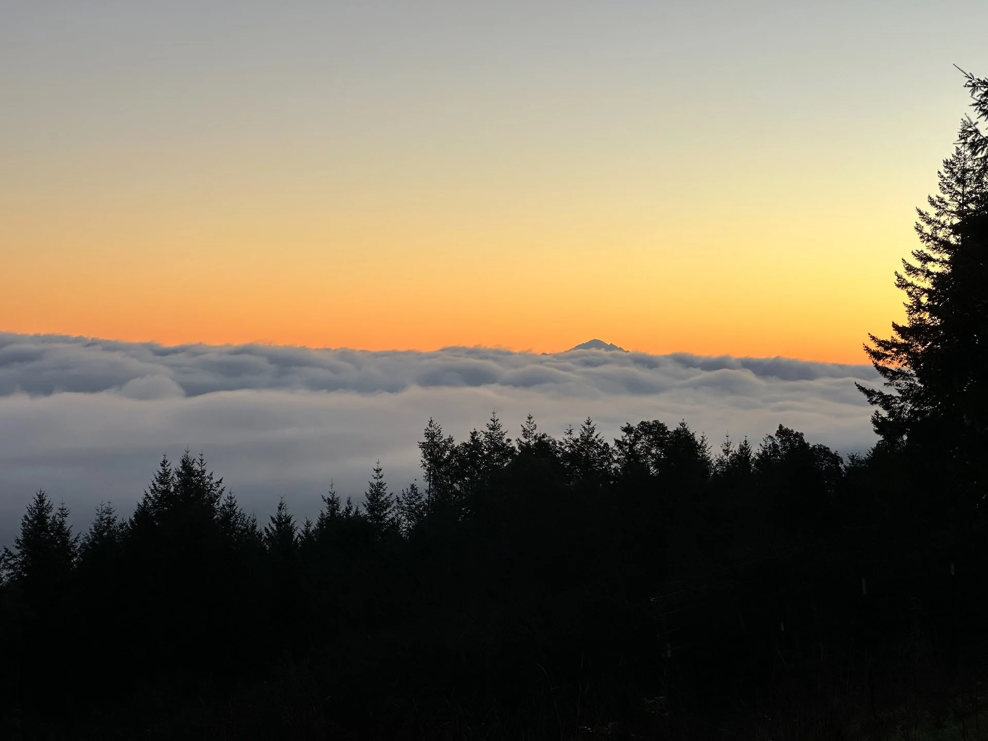 2026 01 Galiano Inversion - 2.jpeg