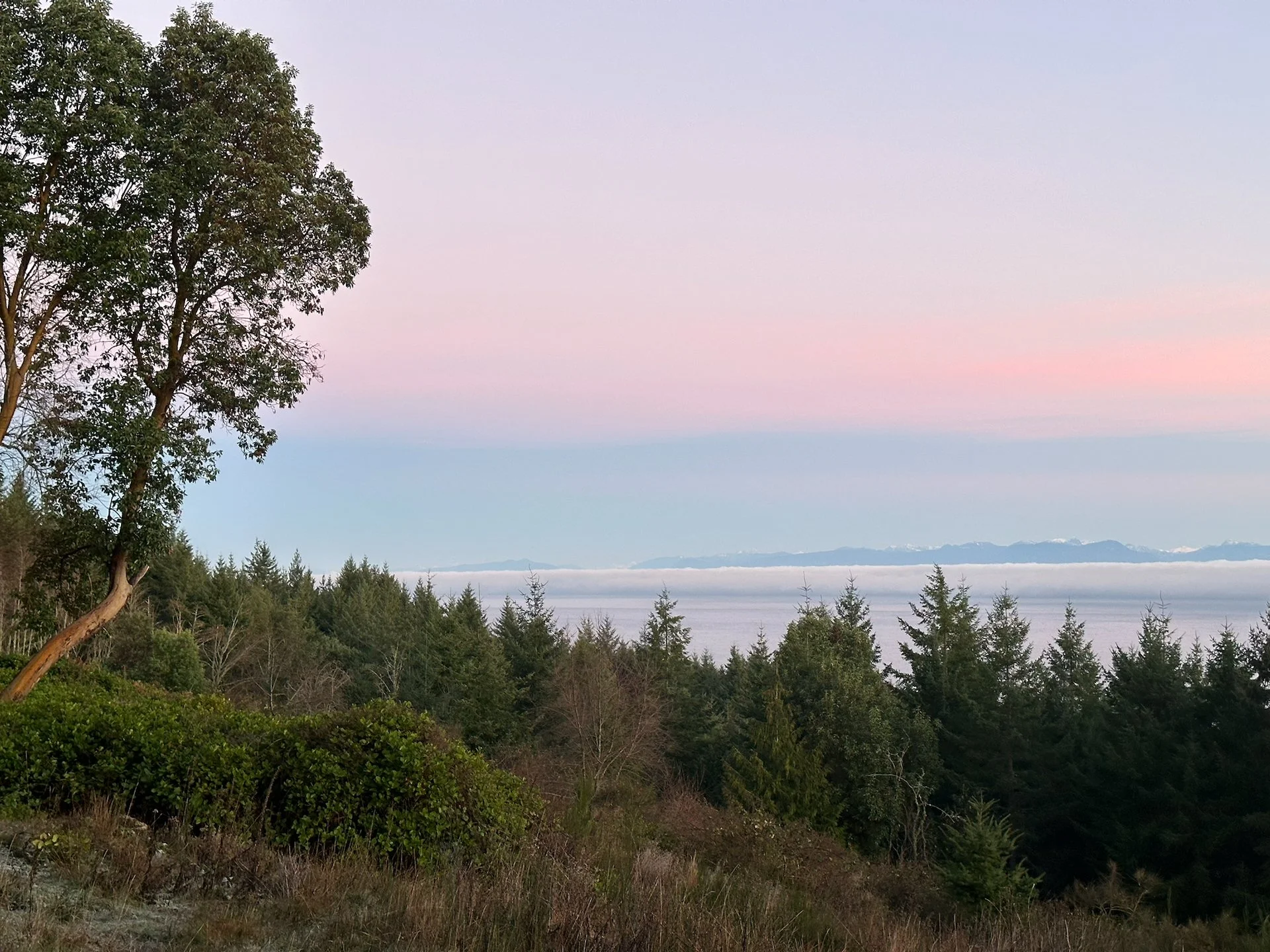 2026 01 Galiano Inversion - 3.jpeg