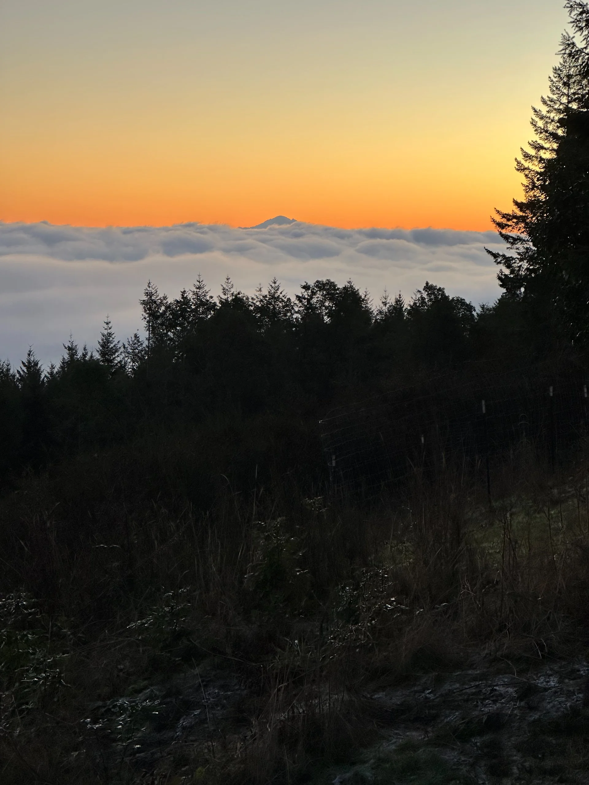 2026 01 Galiano Inversion - 4.jpeg