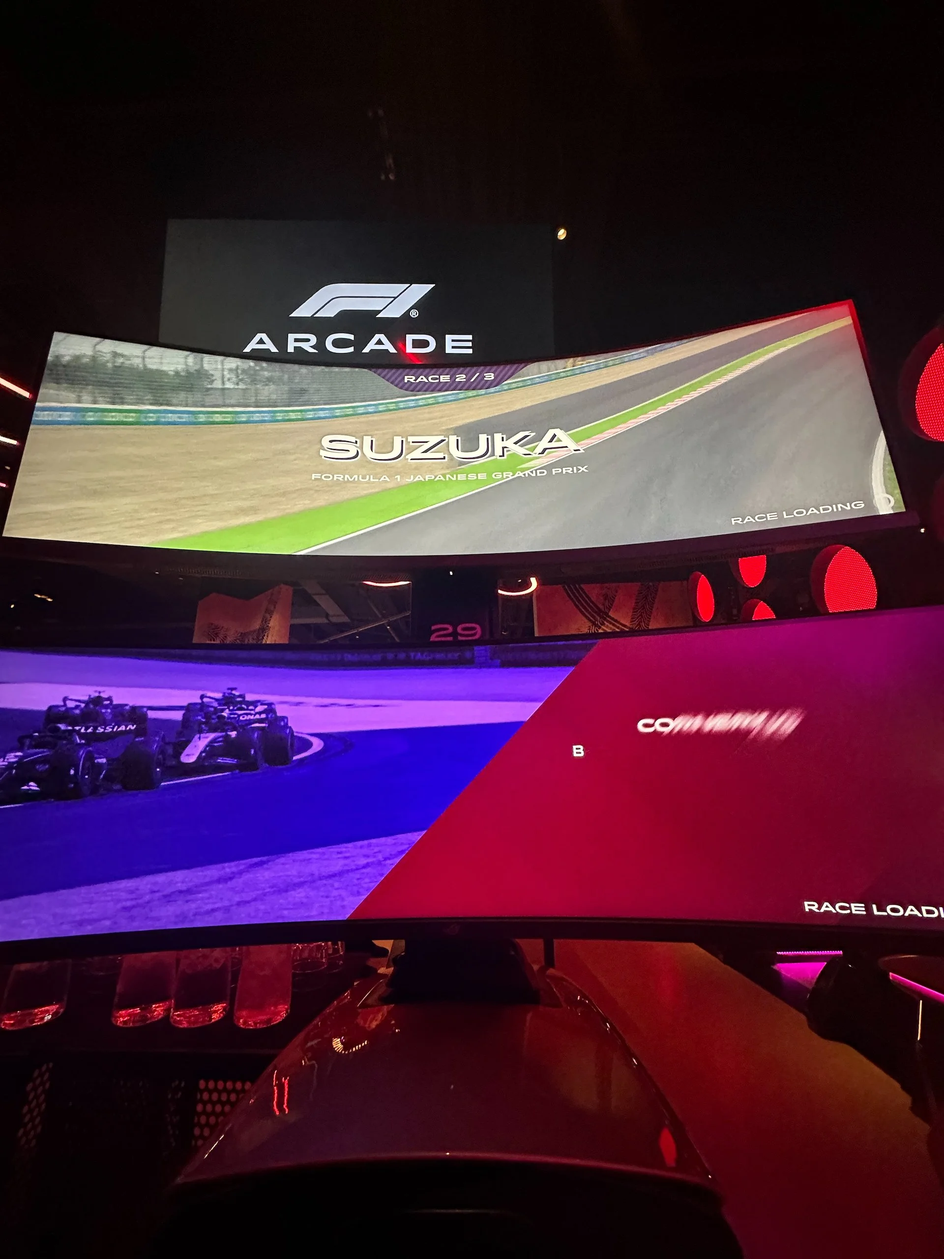  The second race was Suzuka in Japan. I did not learn my lesson, and came in last again. 