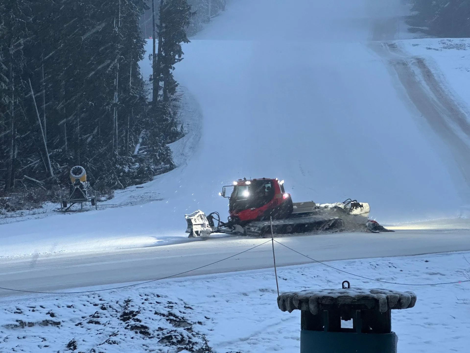  And they were out grooming to try and make the best of it. 