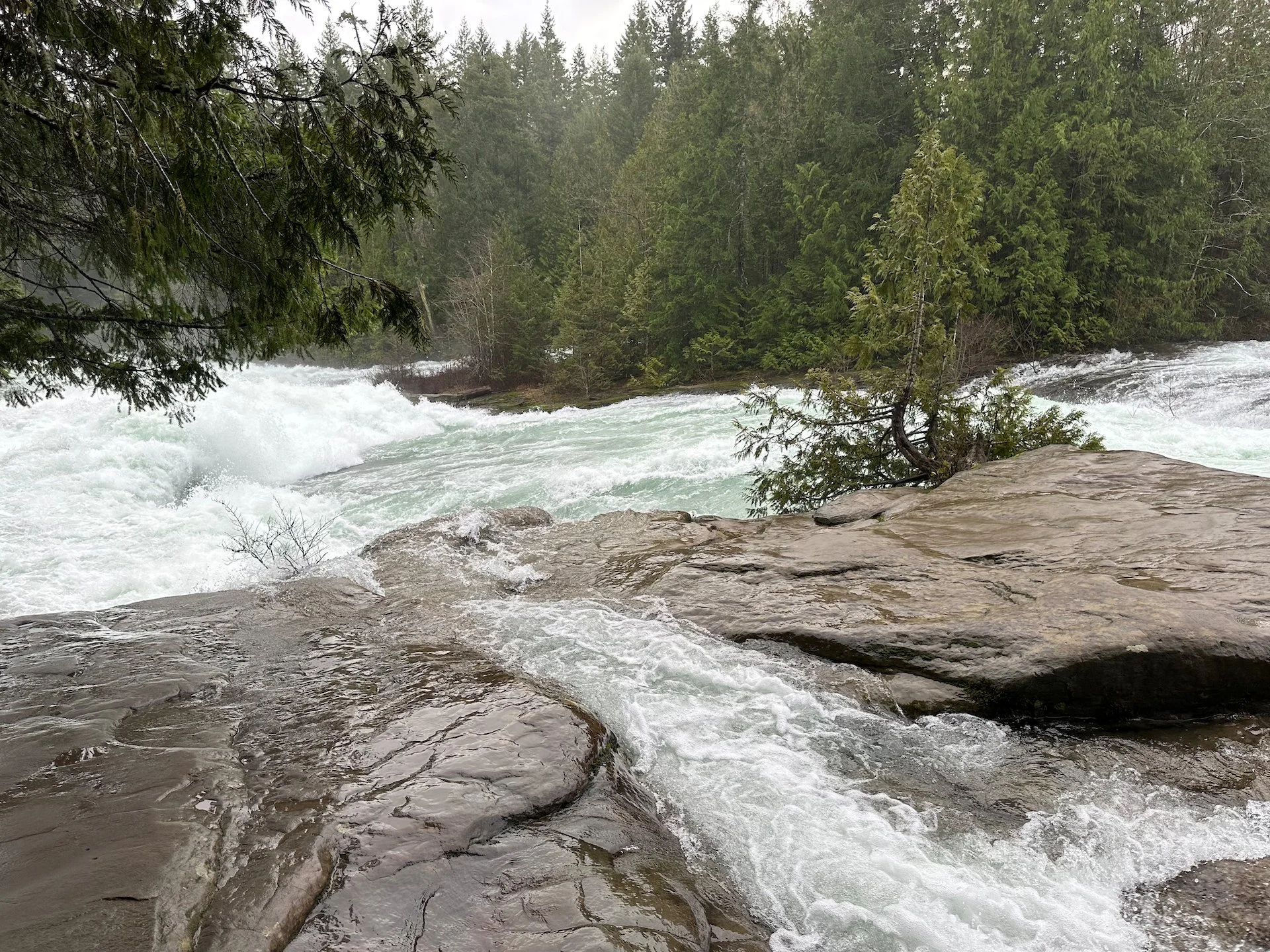  You could hear the river long before you could see it. The amount of water flowing through was crazy! 