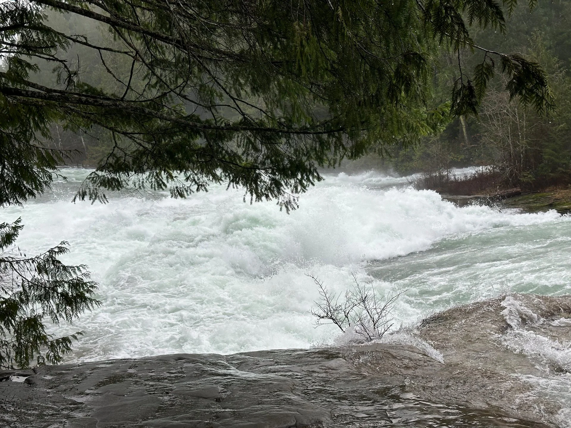 2026-02 Mount Washington - 16.jpeg