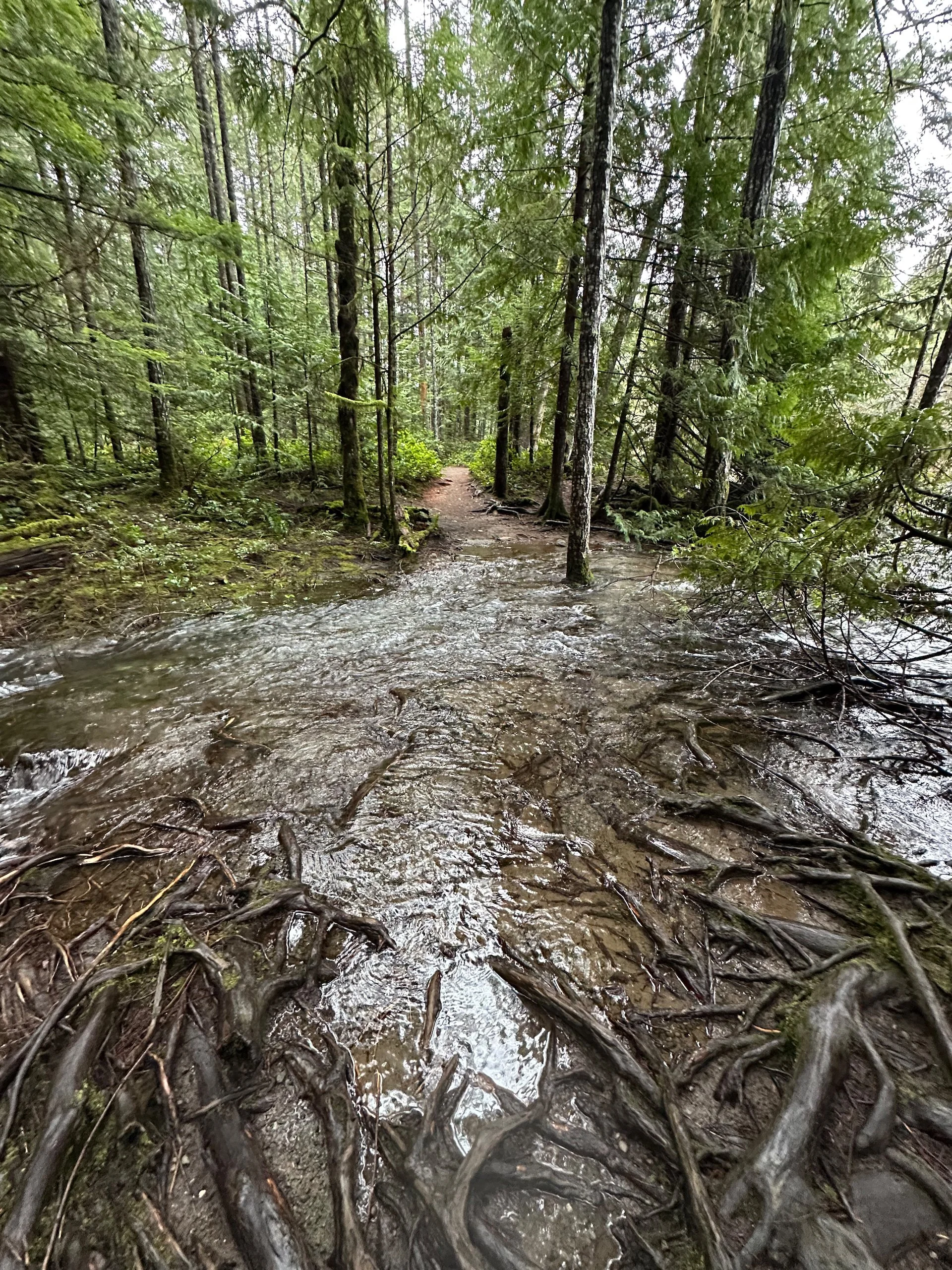  The path was quite flooded! 